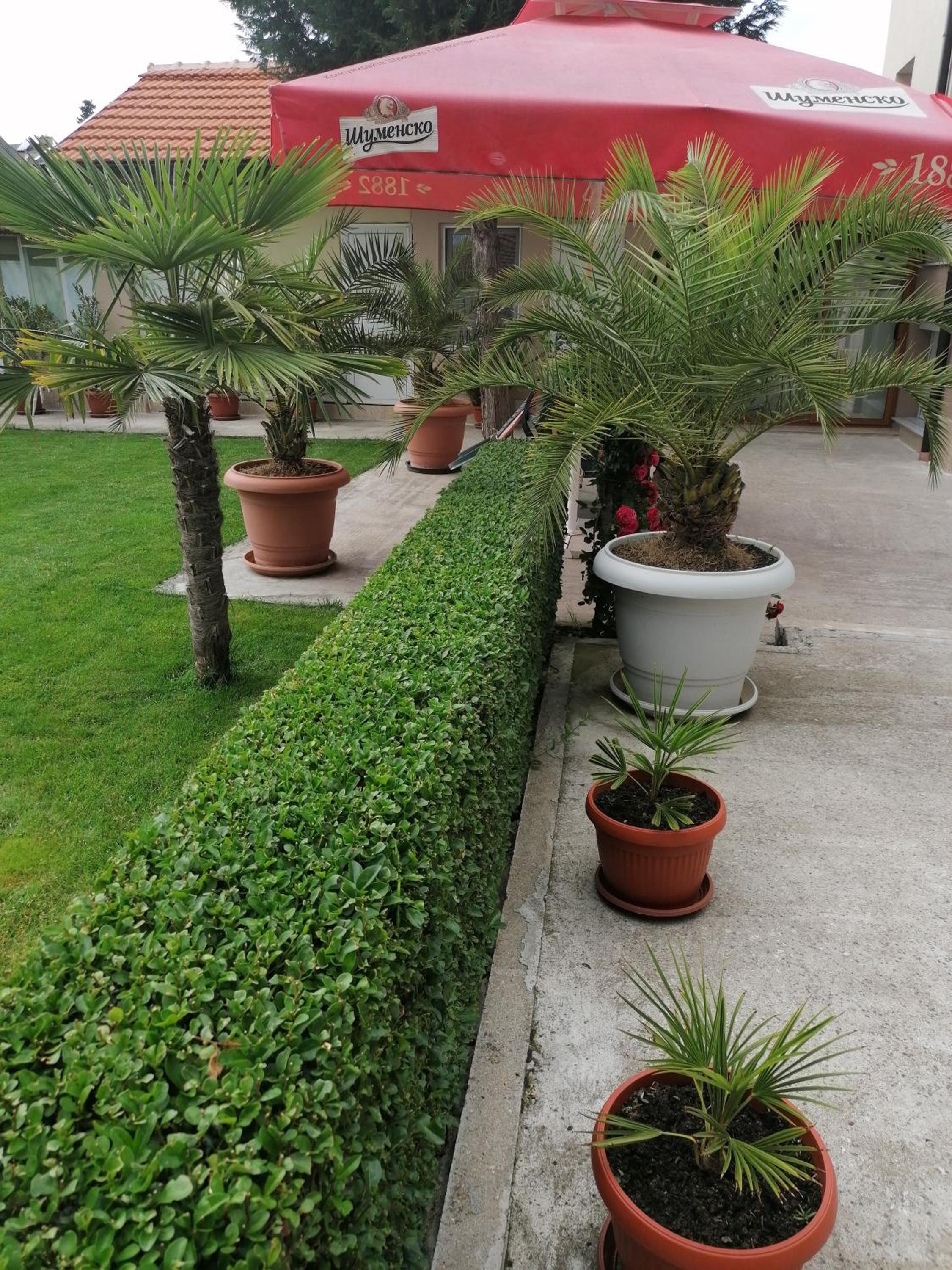 Villa Ros Guest House
