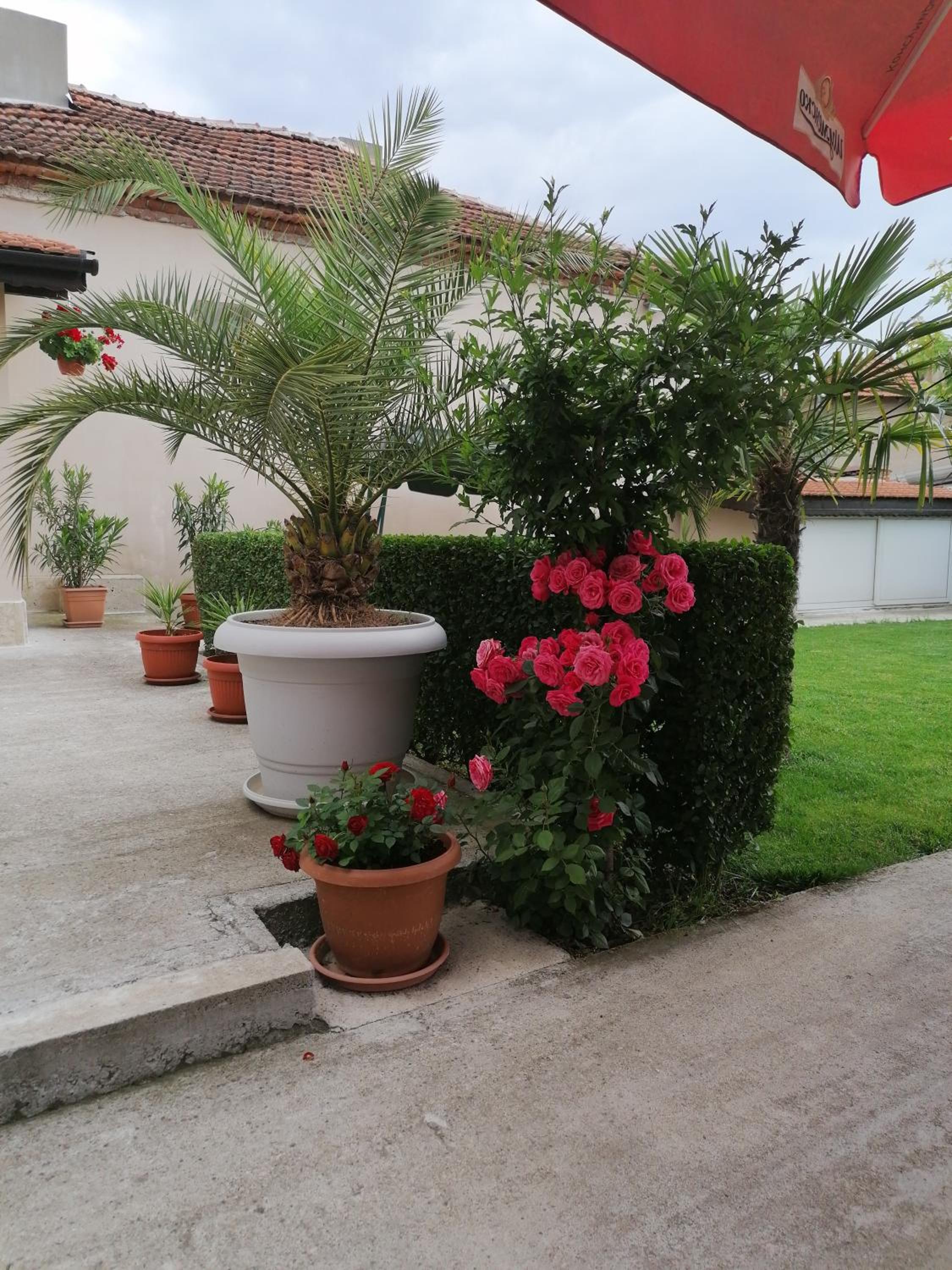 Villa Ros Guest House