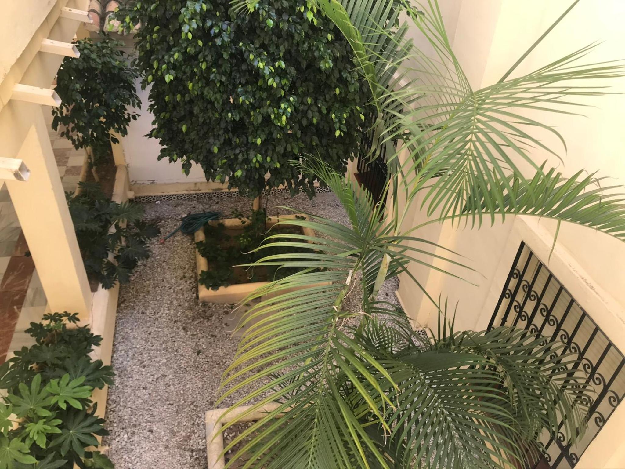 Apartamento Las Mimosas Beach