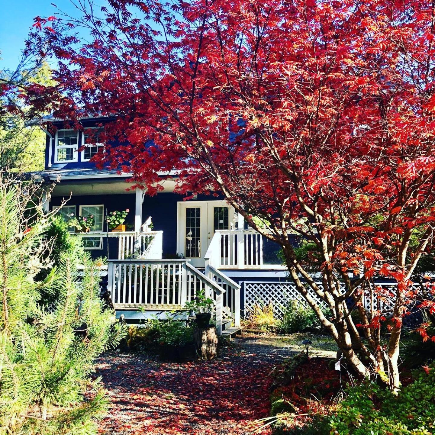 Seafarer Bed & Breakfast