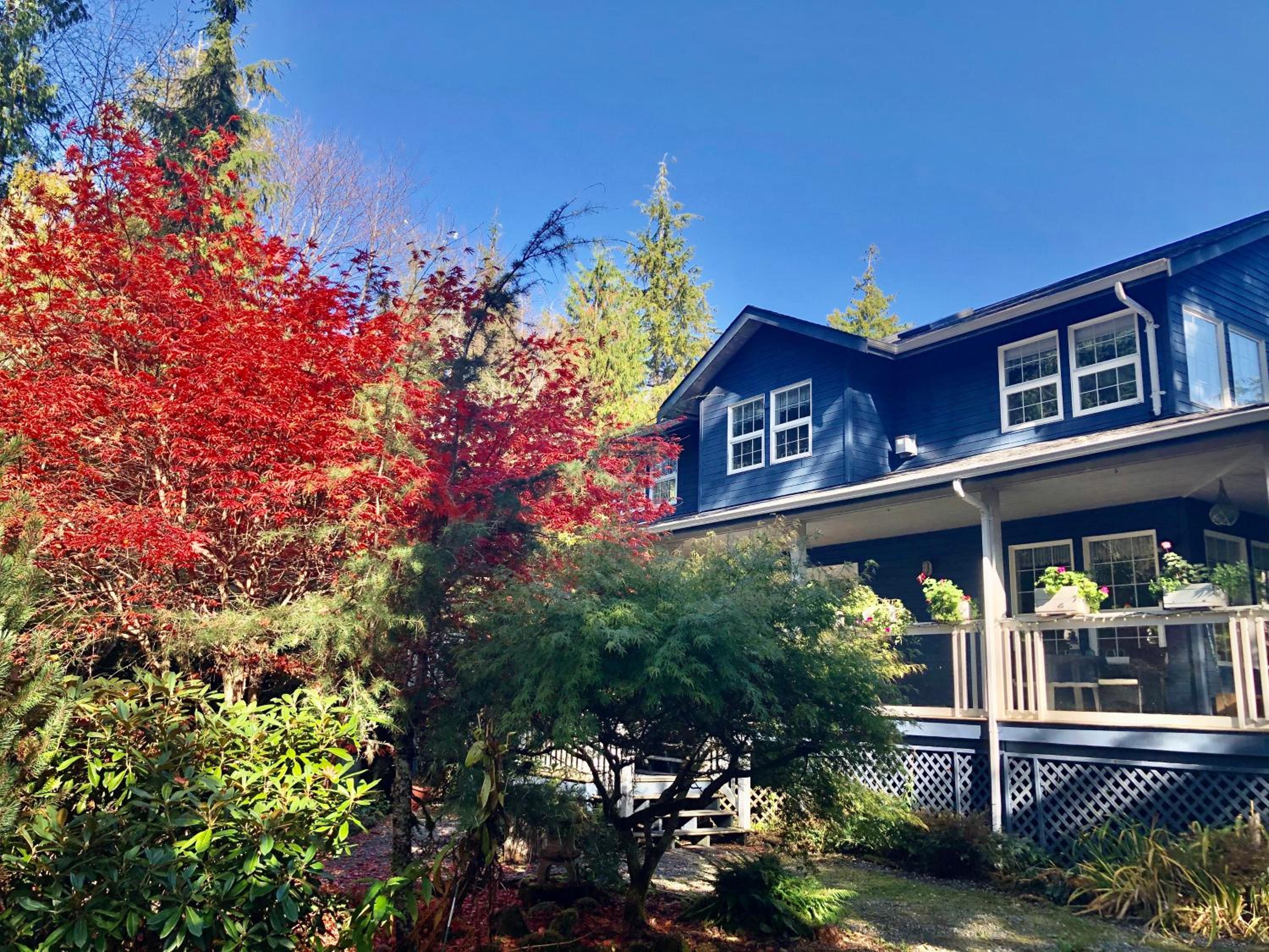 Seafarer Bed & Breakfast