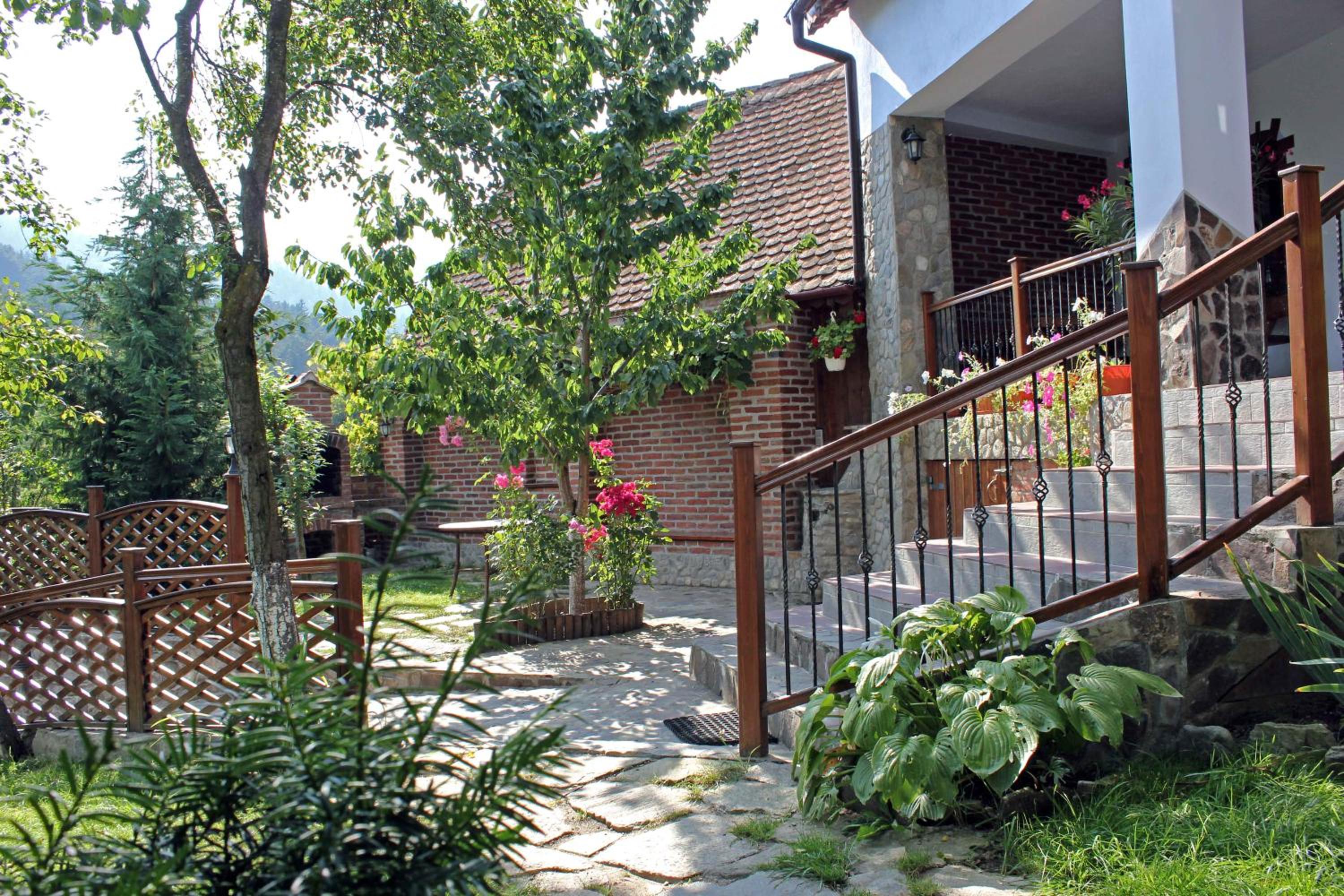 Photo 20