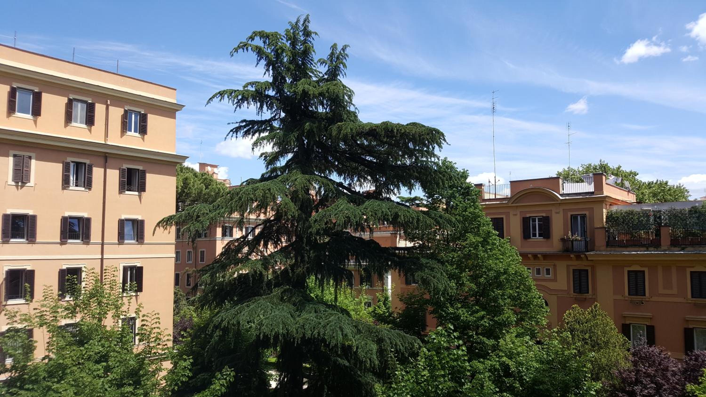Bed & Breakfast A Casa di Lia a Roma