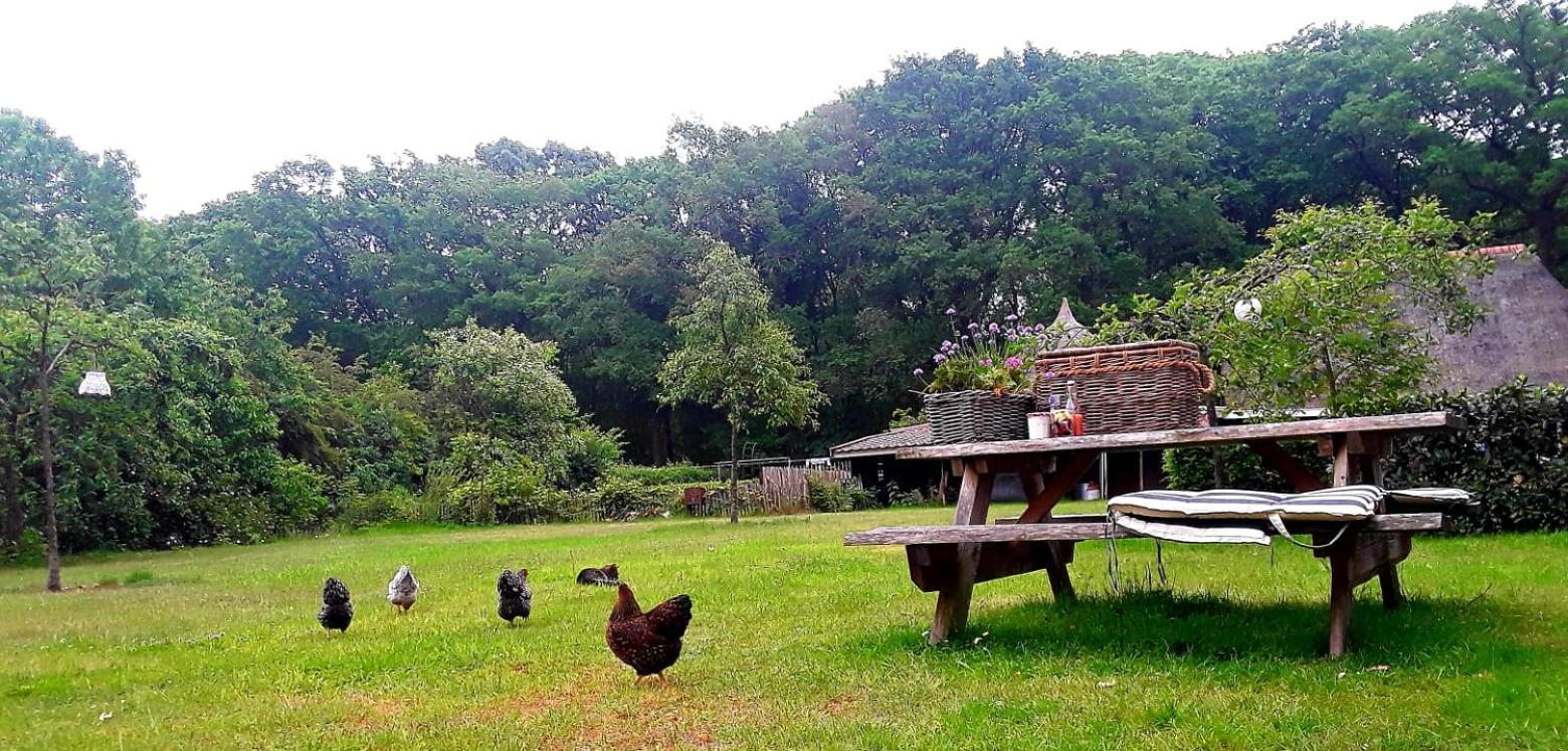 Bed & Breakfast Markelo view 3