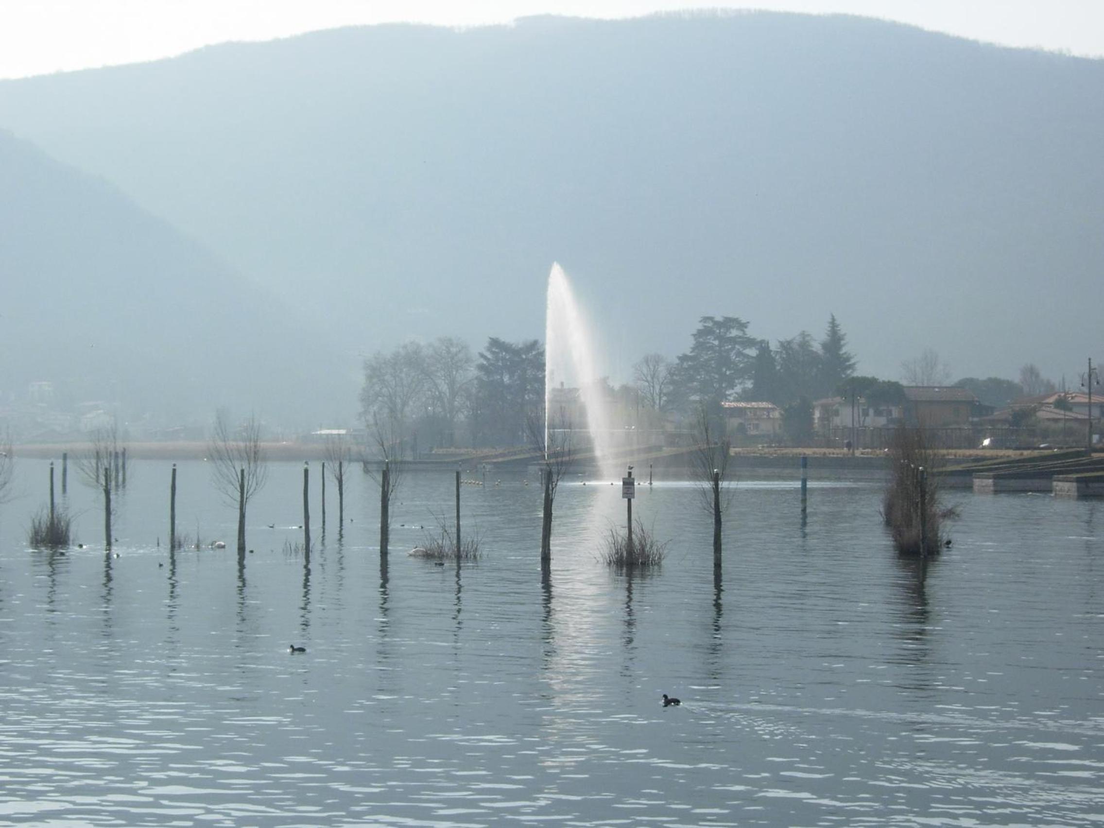 Photo 24