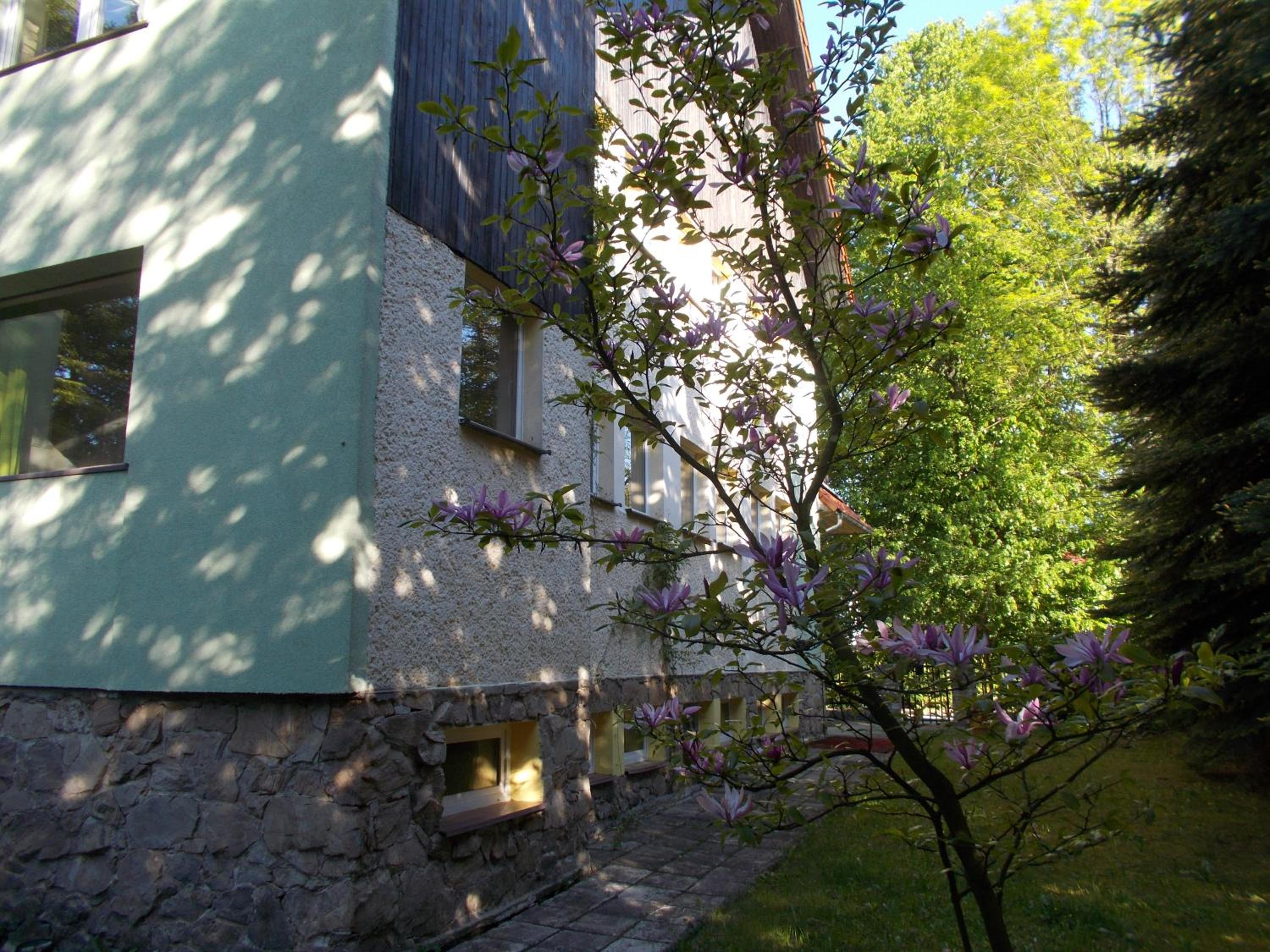 Photo 33