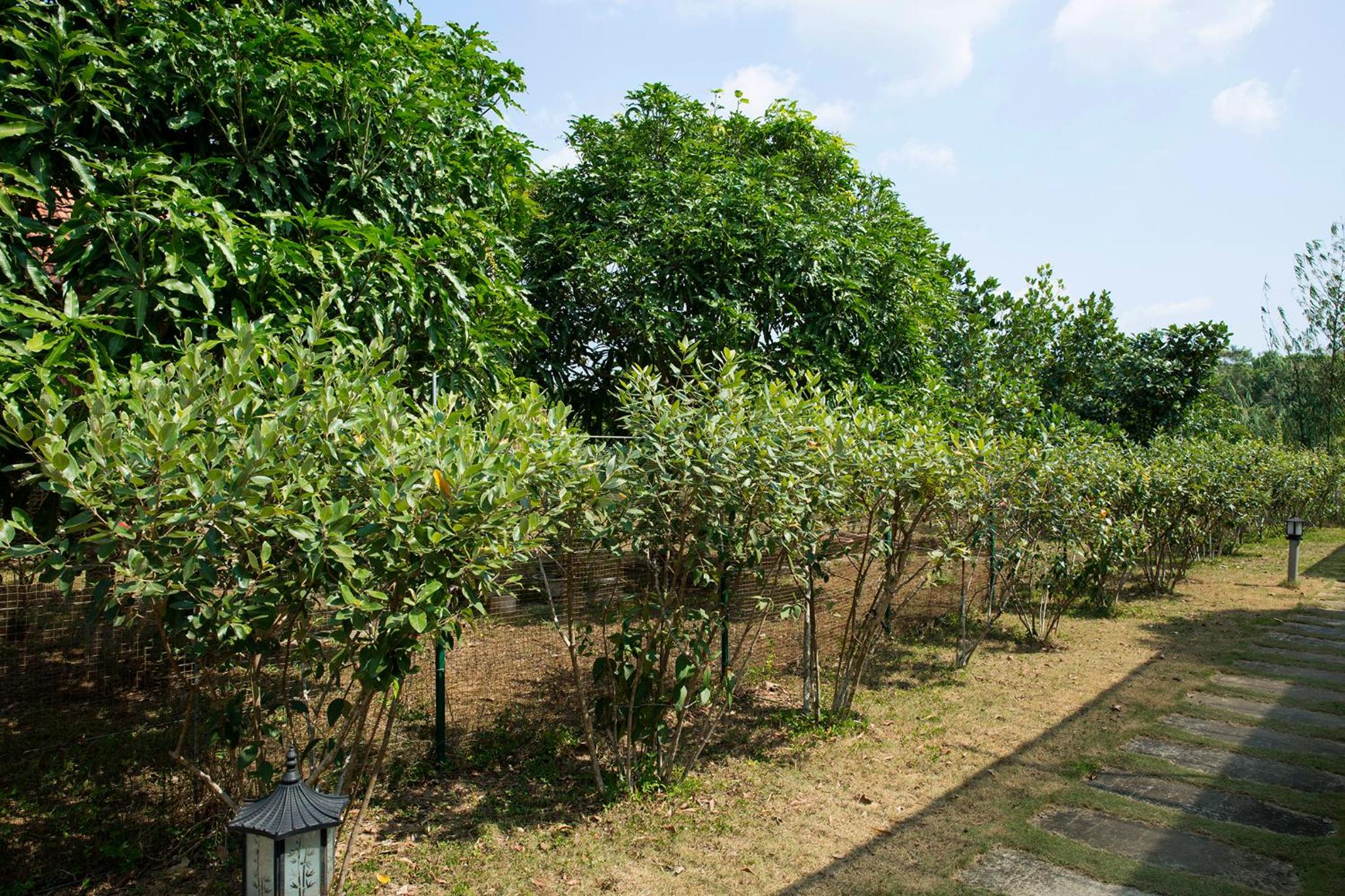 Spring Garden Homestay