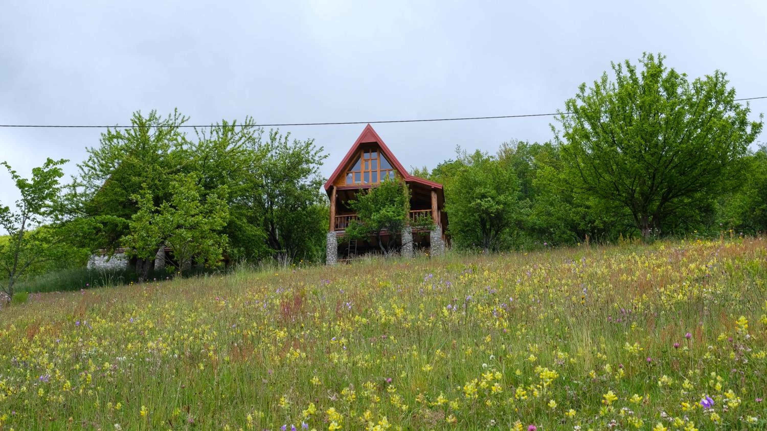 Photo 25