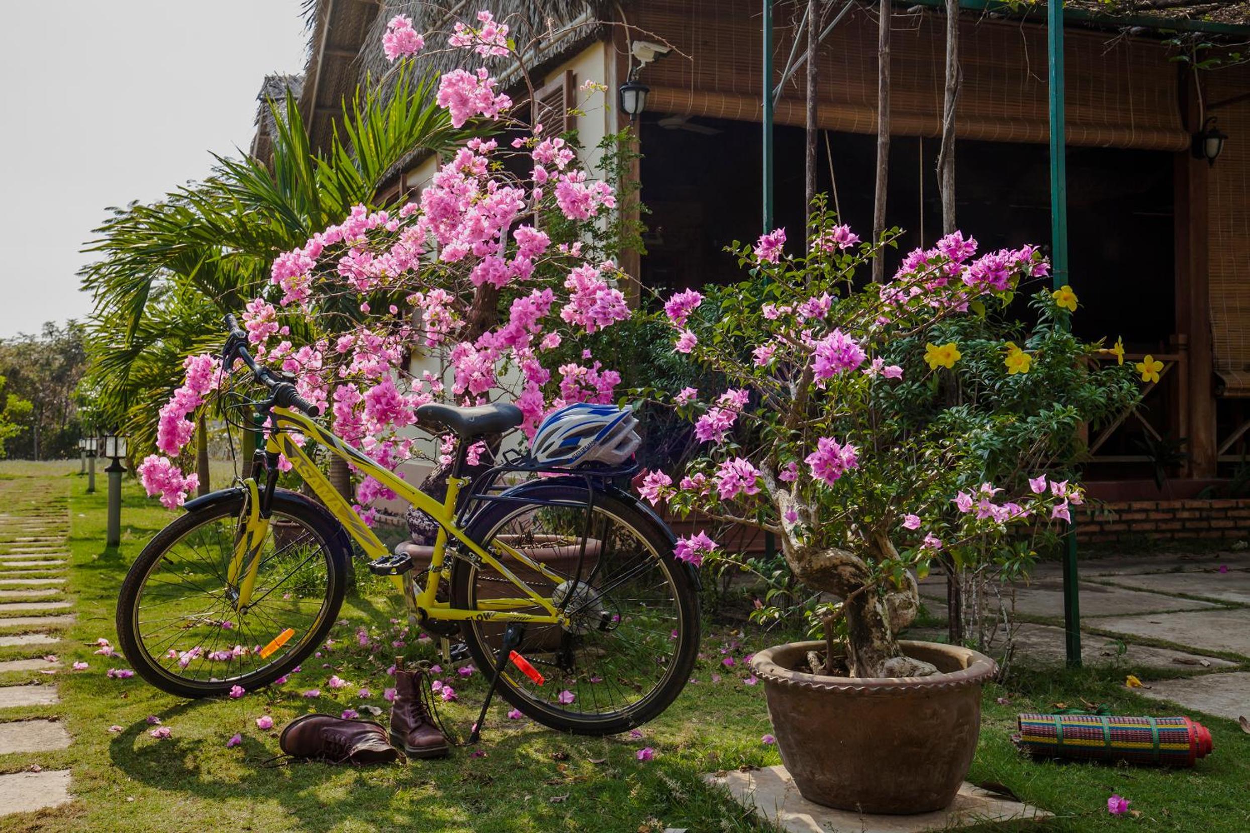 Spring Garden Homestay