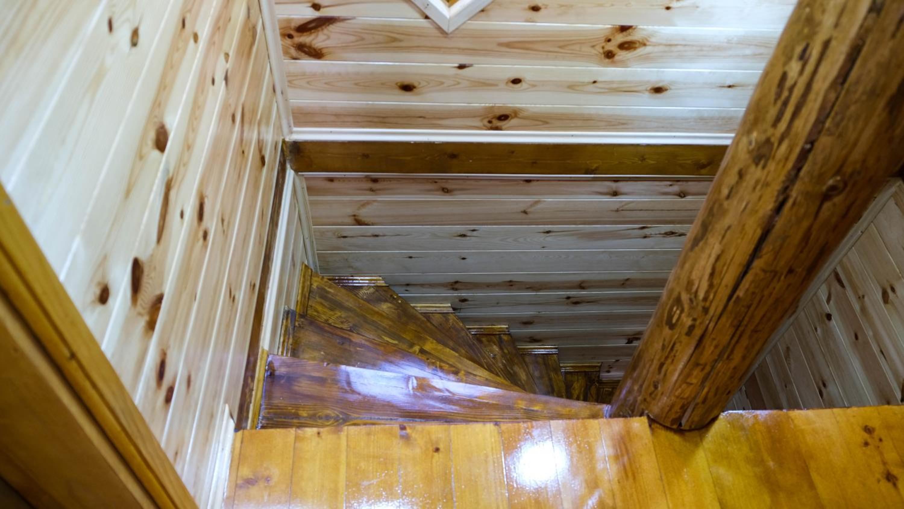 Photo 42