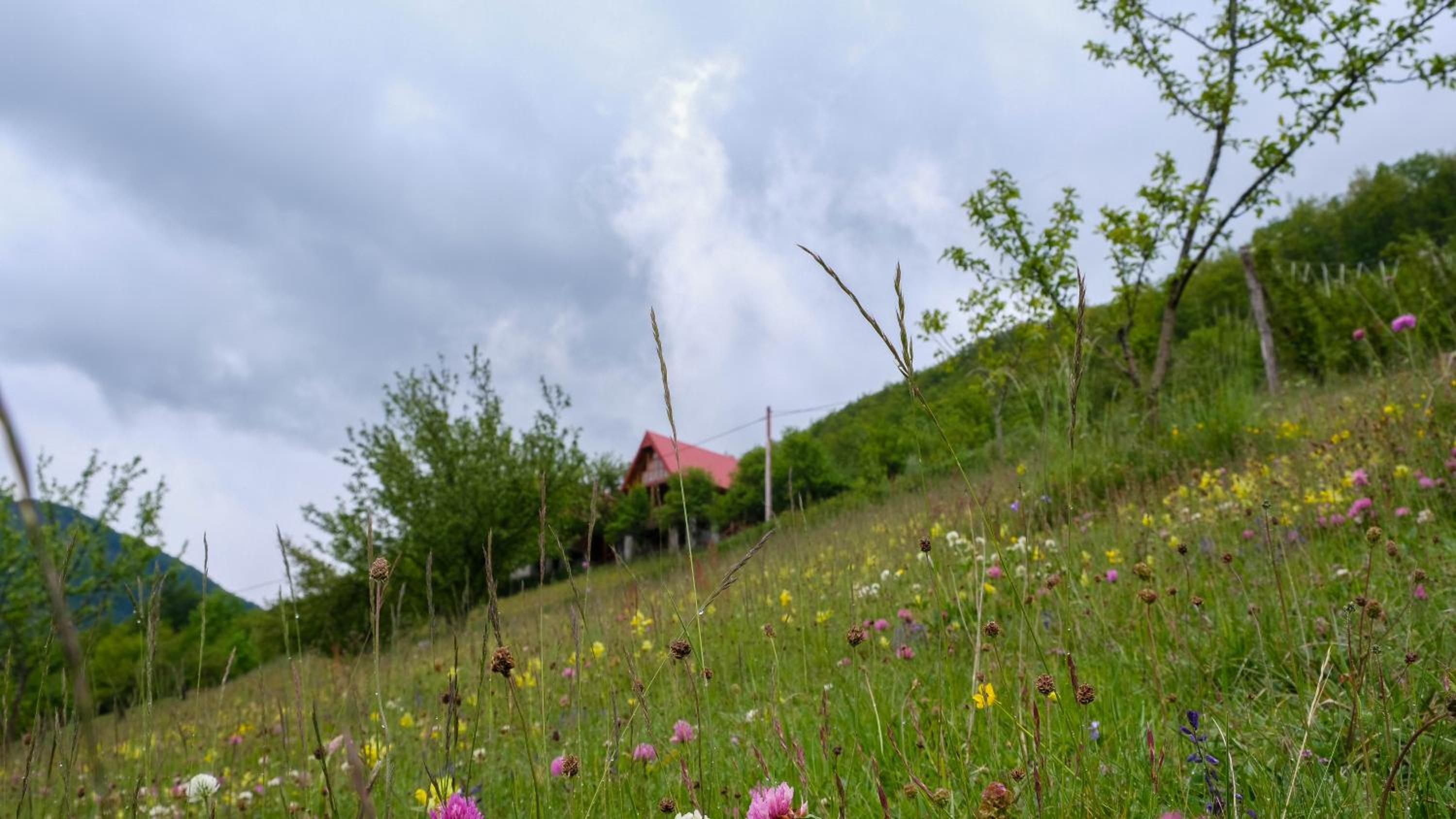 Photo 49
