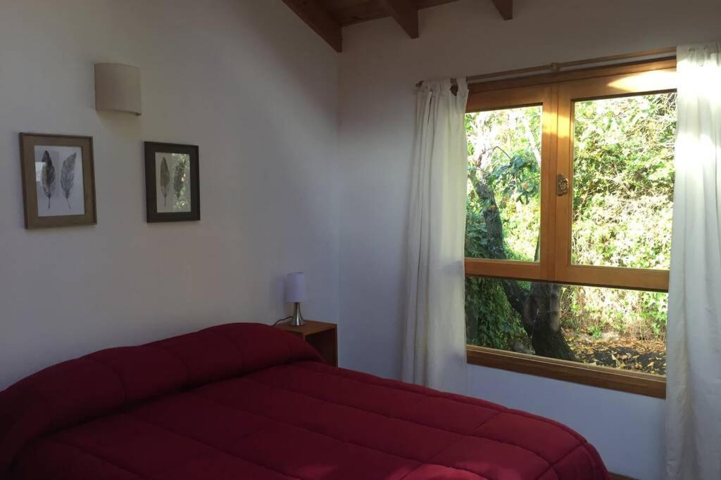 Casa céntrica SONNE San Martín de los Andes