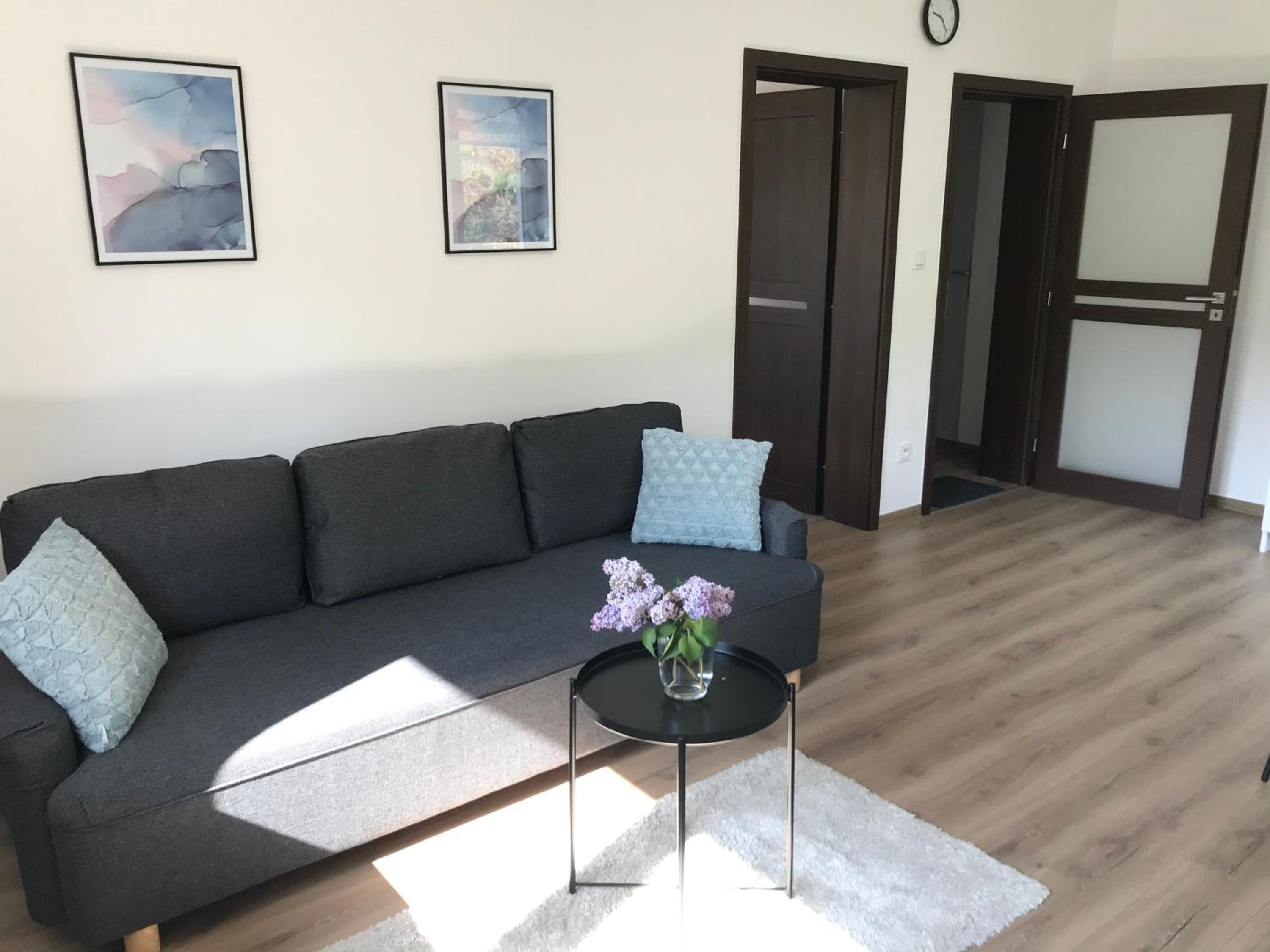 Apartmán NA KOPCI Krucemburk view 3