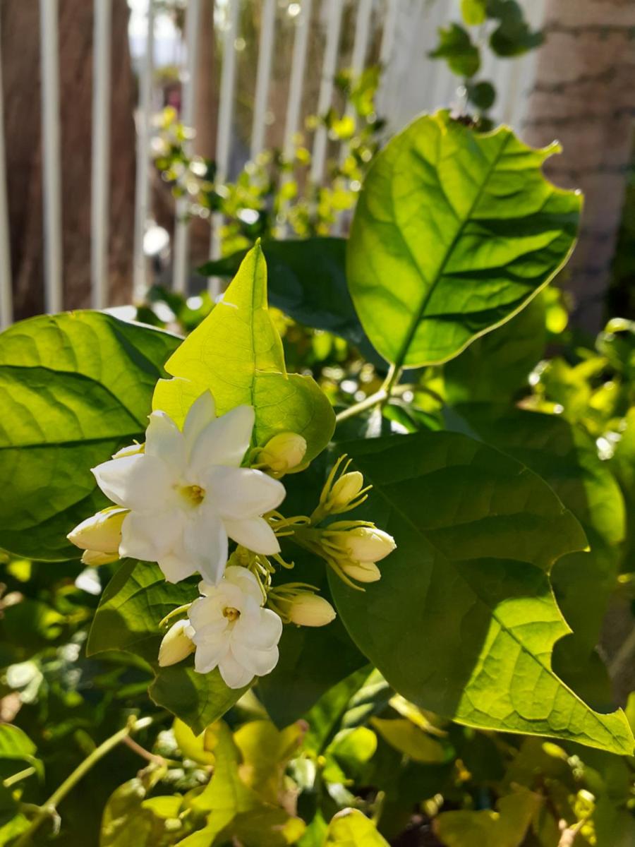 Palm Springs Vacations - Crashpod Hostel - Property Image 12