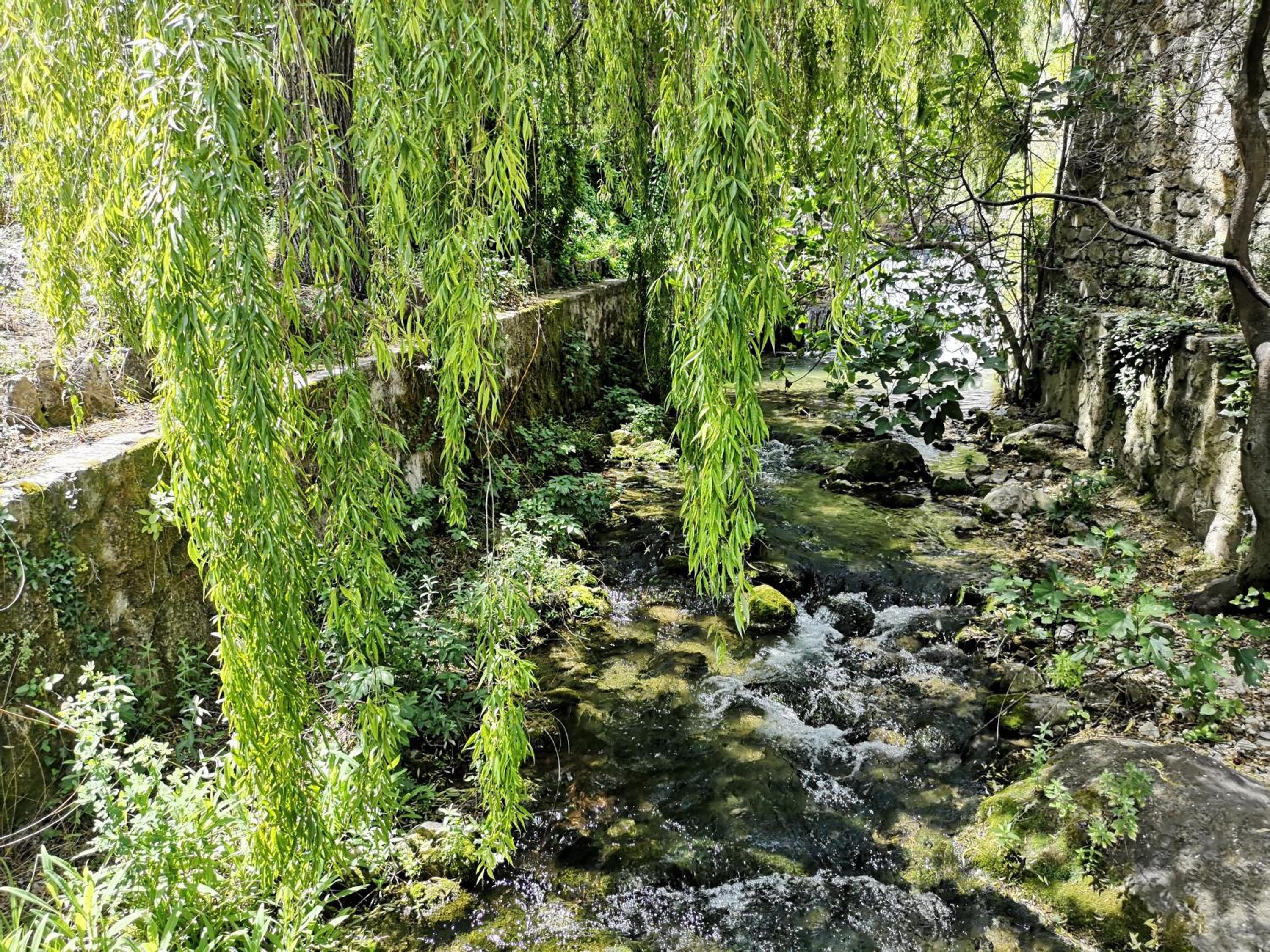 Photo 20
