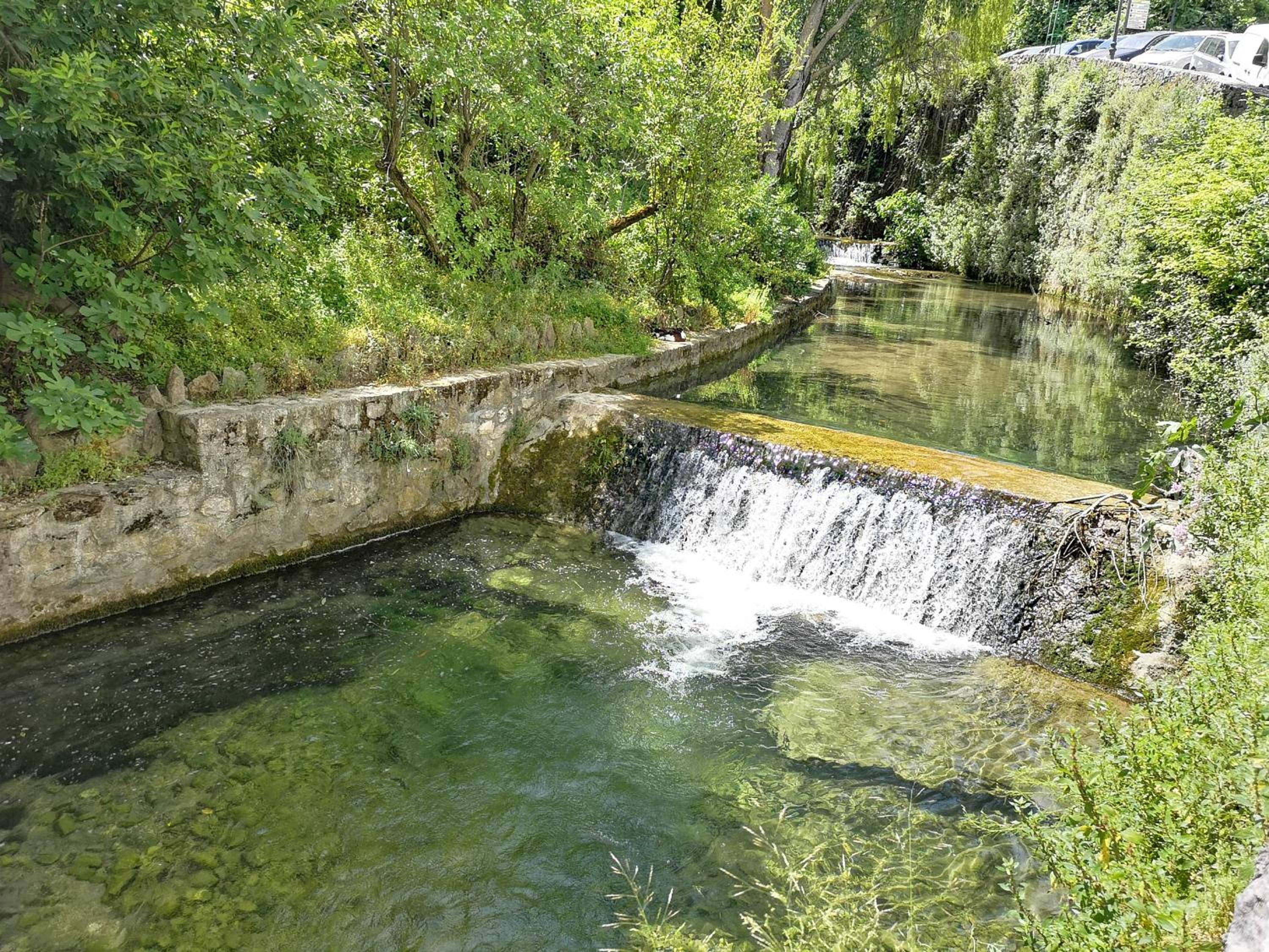 Photo 23