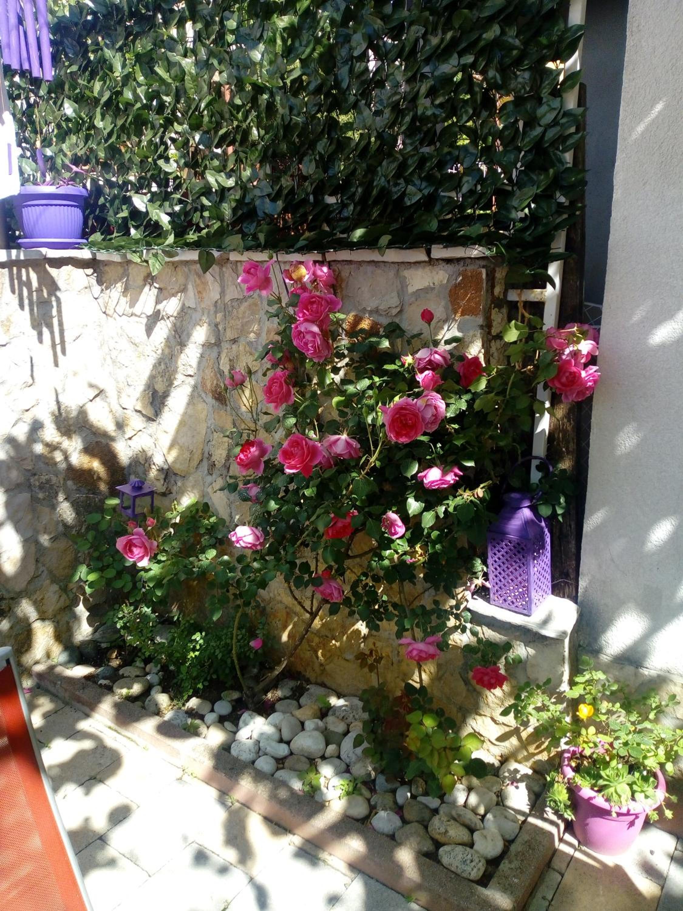 Photo 34