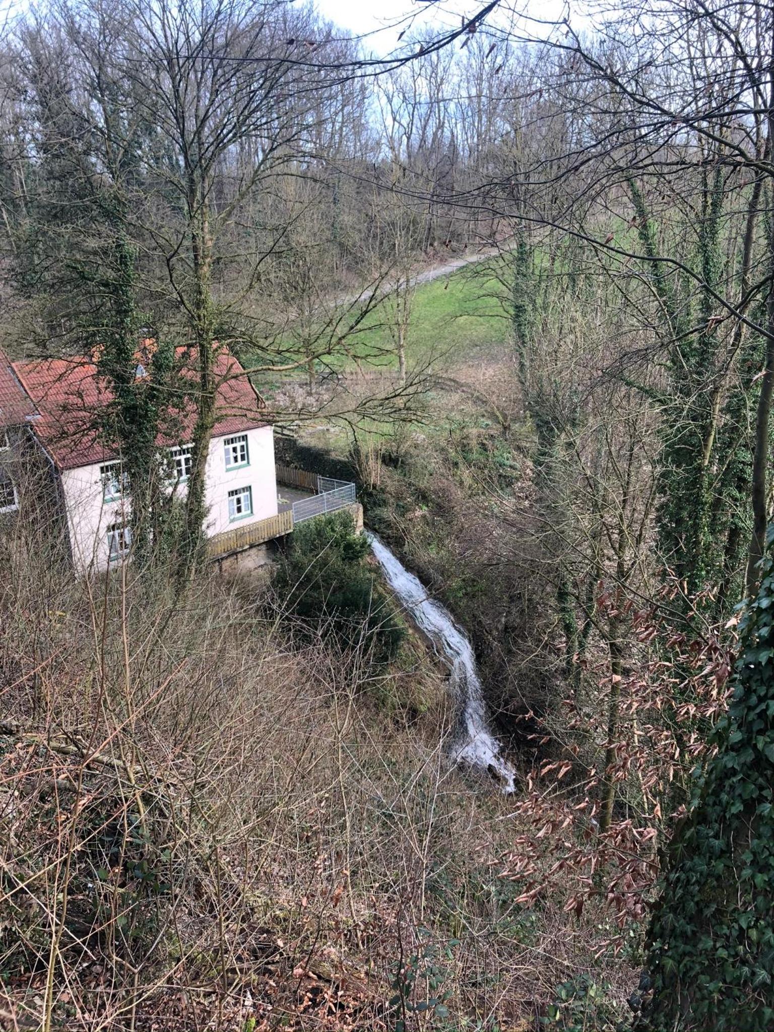 Ferienwohnung Waldruhe