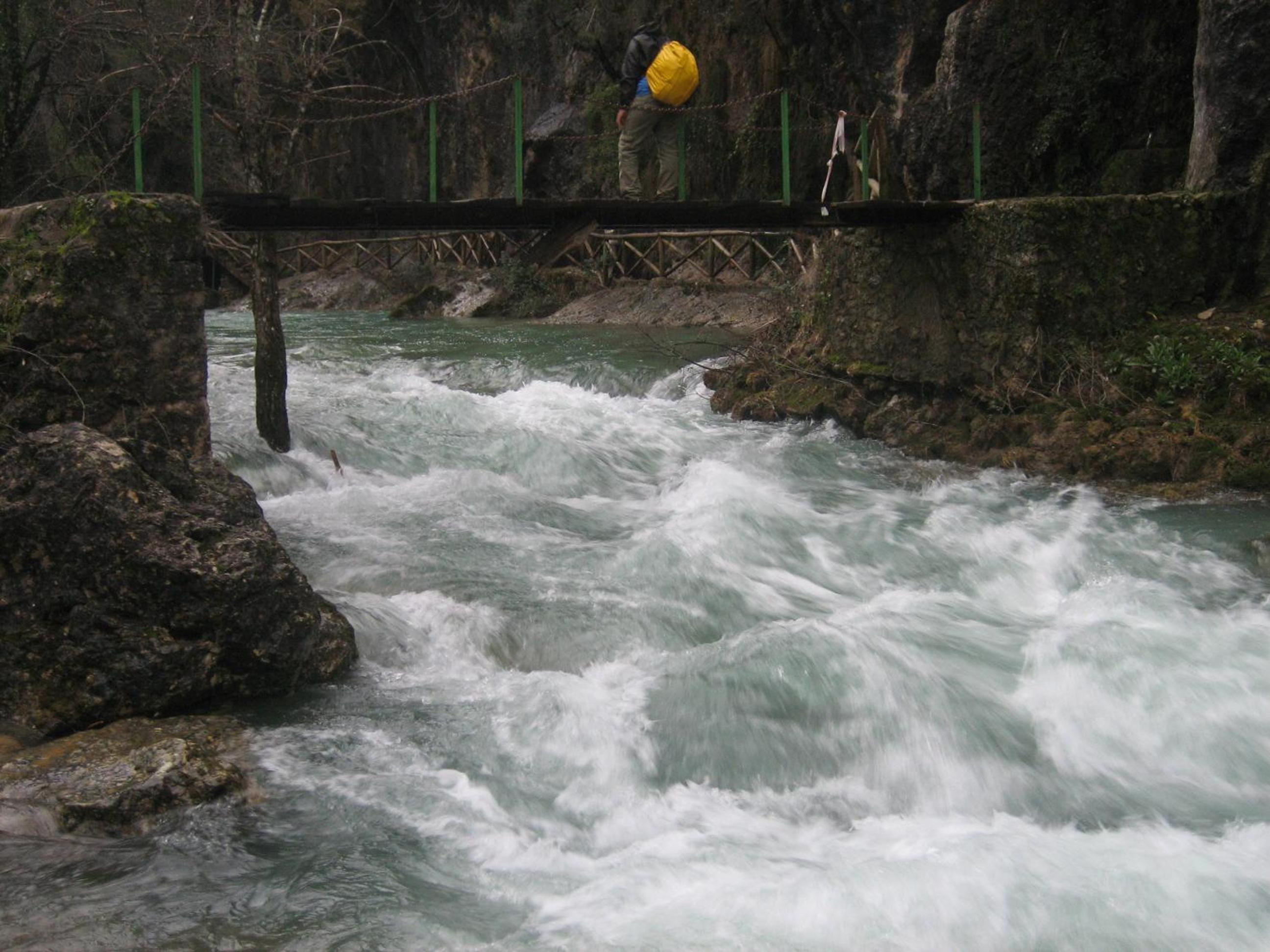Photo 24