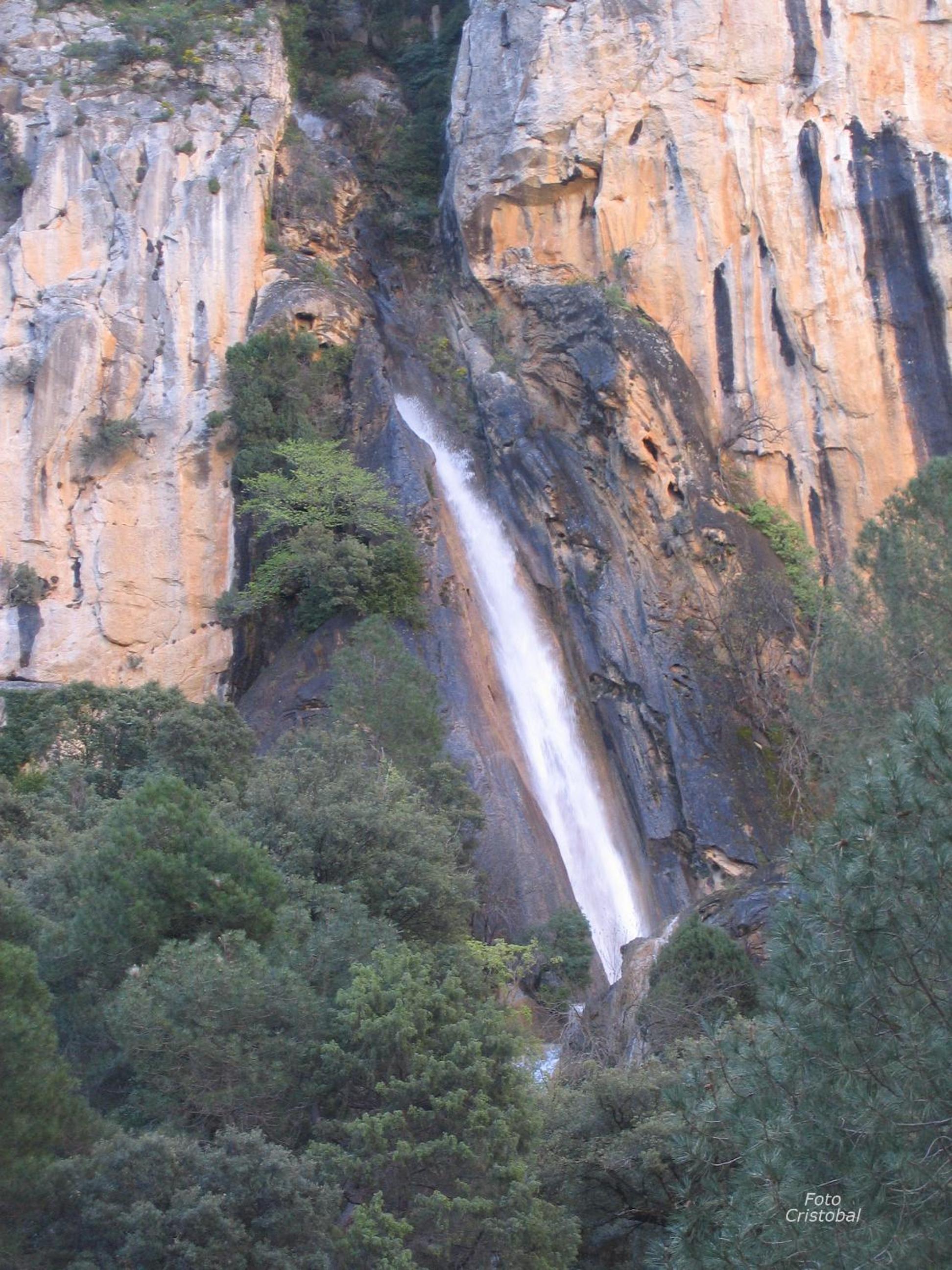 Photo 28
