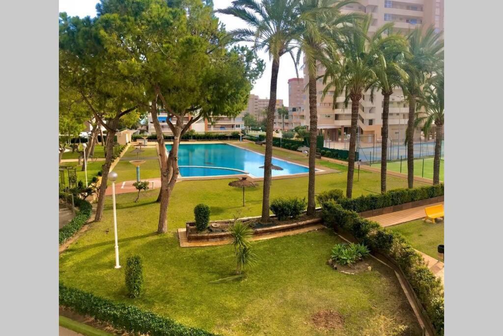 Leo piso 20 apartamento 4 pax Inmobiliaria Leo PLaya de San Juan view 2