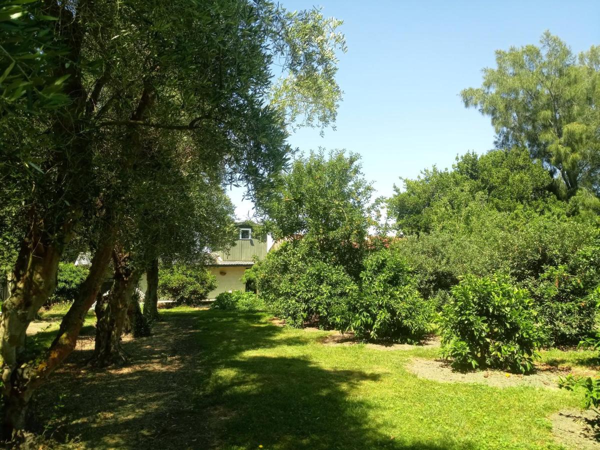 Photo 27