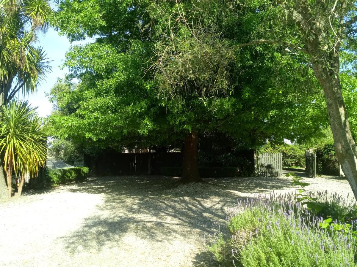 Photo 28