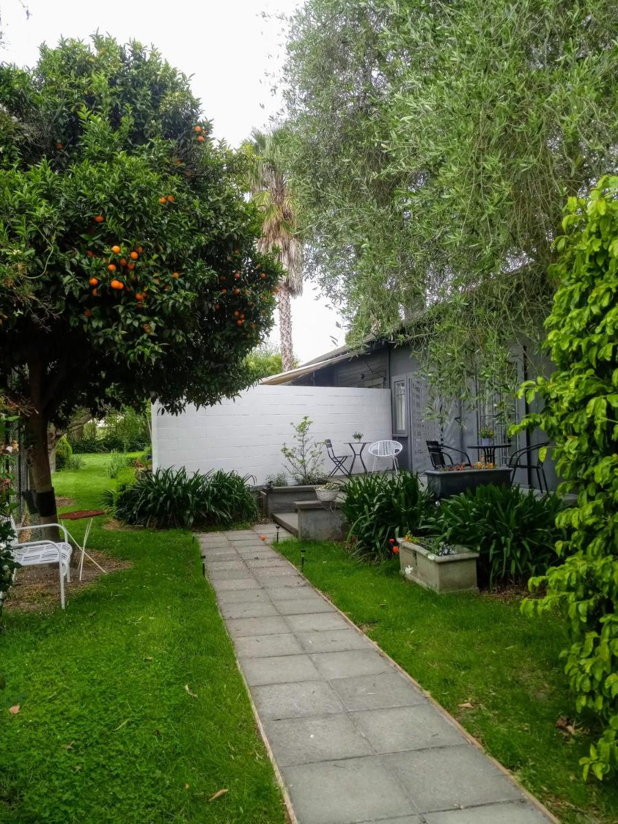 Photo 37