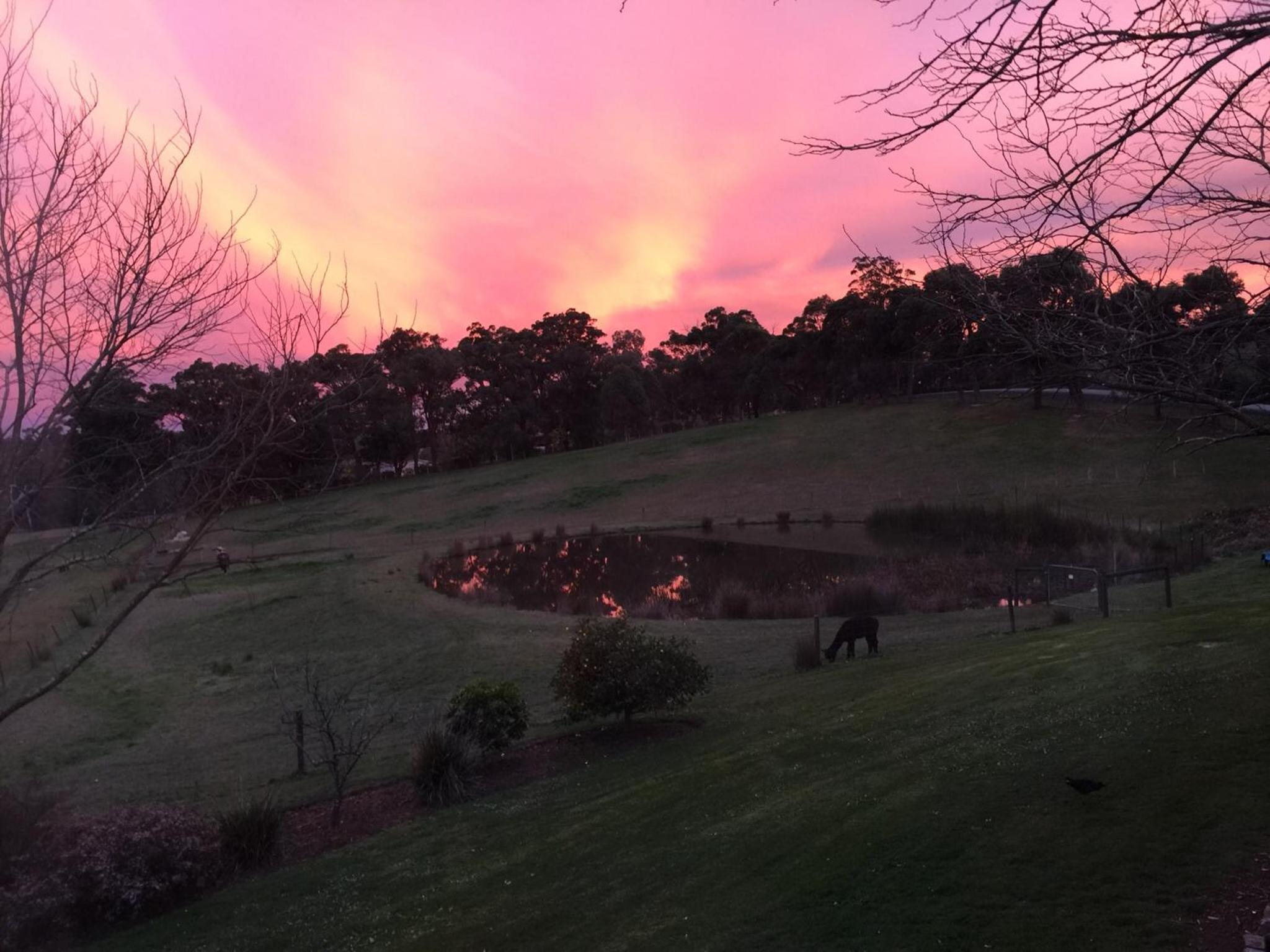 Raynella Alpaca Farmstay