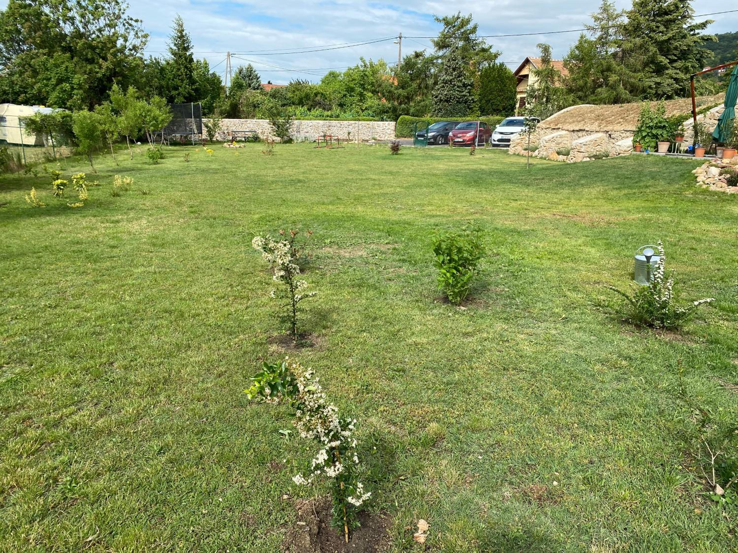 Photo 25