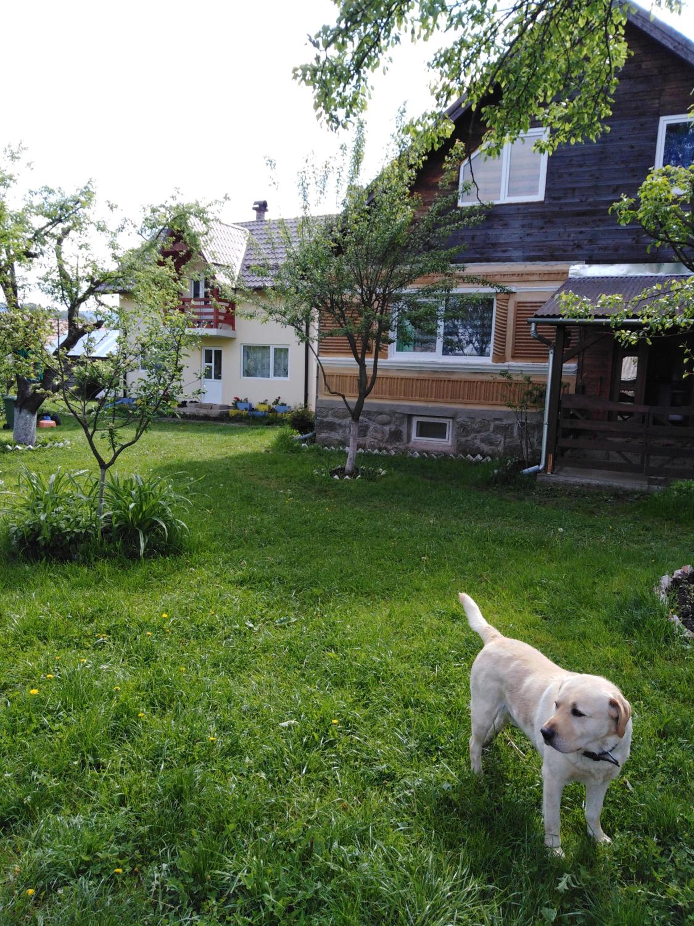 Photo 31