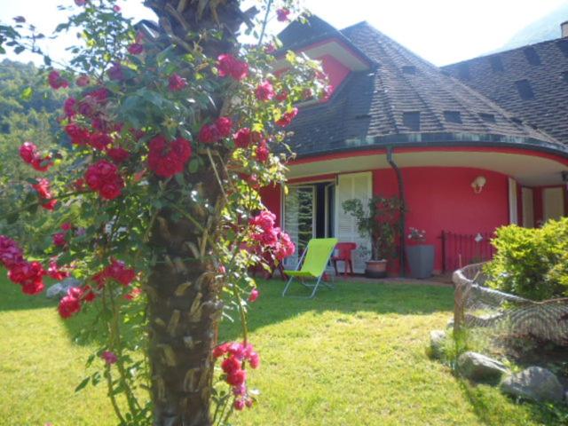 Photo 18