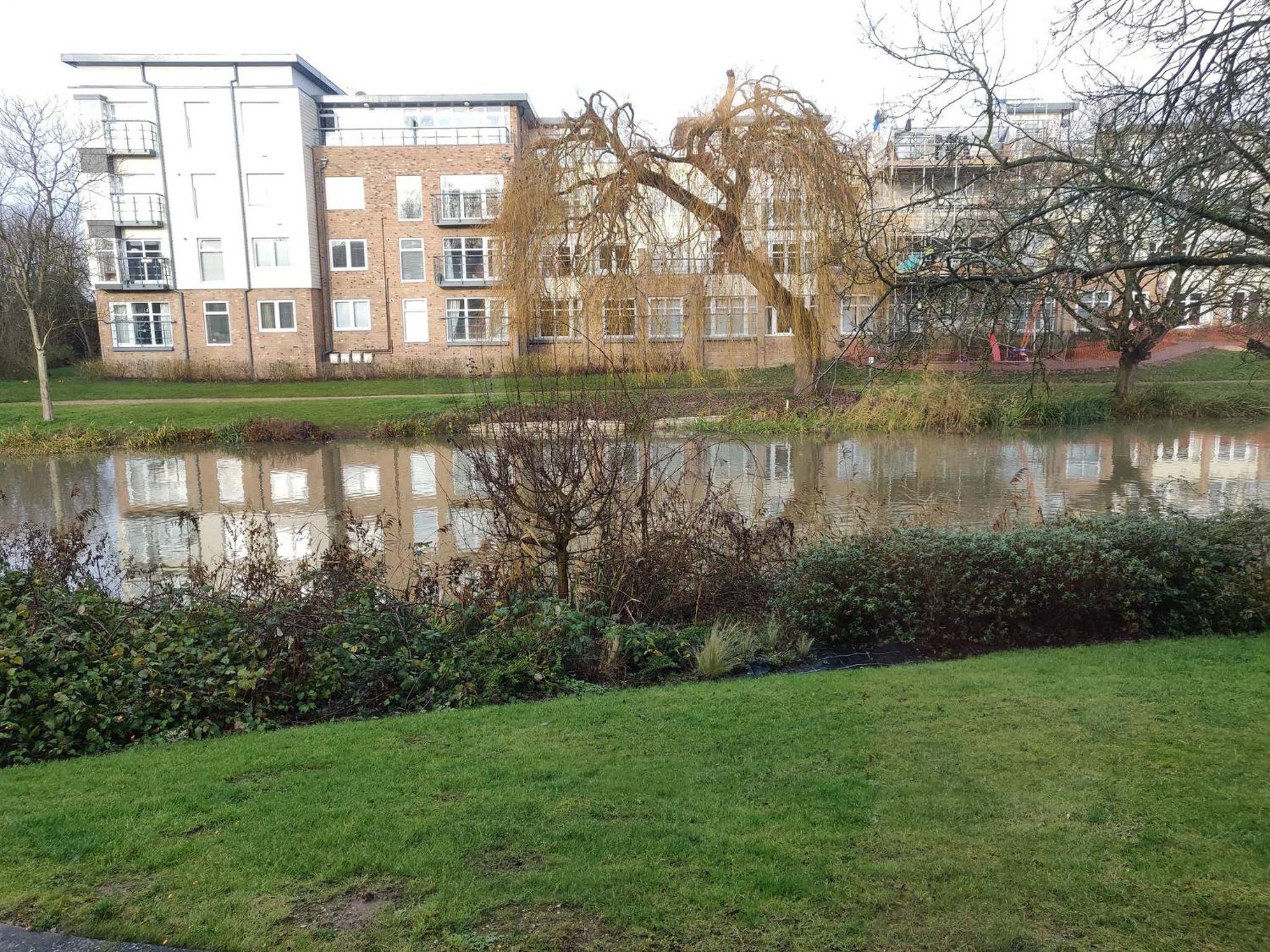 Photo 26