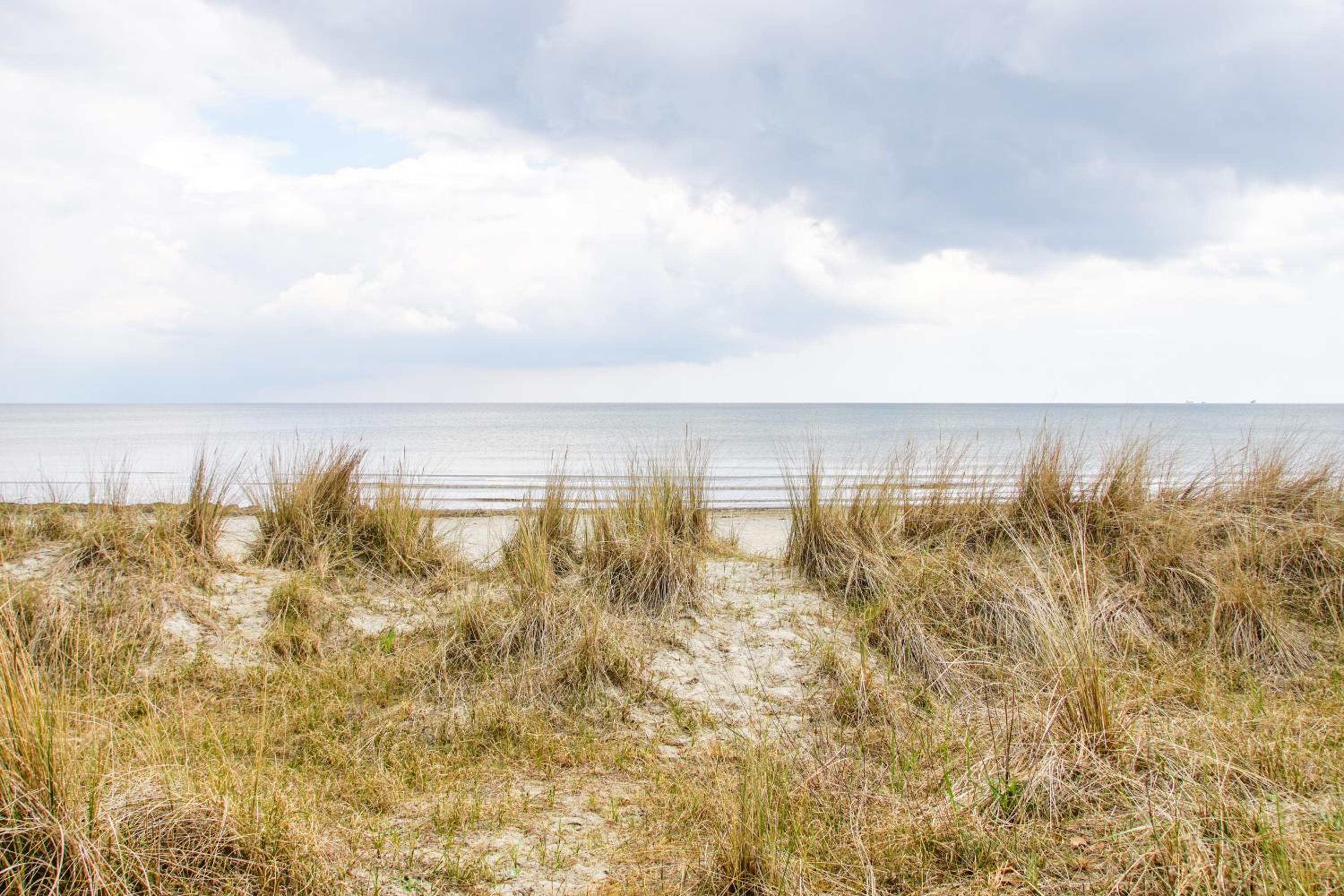 Prora - Modernes Apartment mit Balkon und Strandkorb am Strand - MeerSonneWind