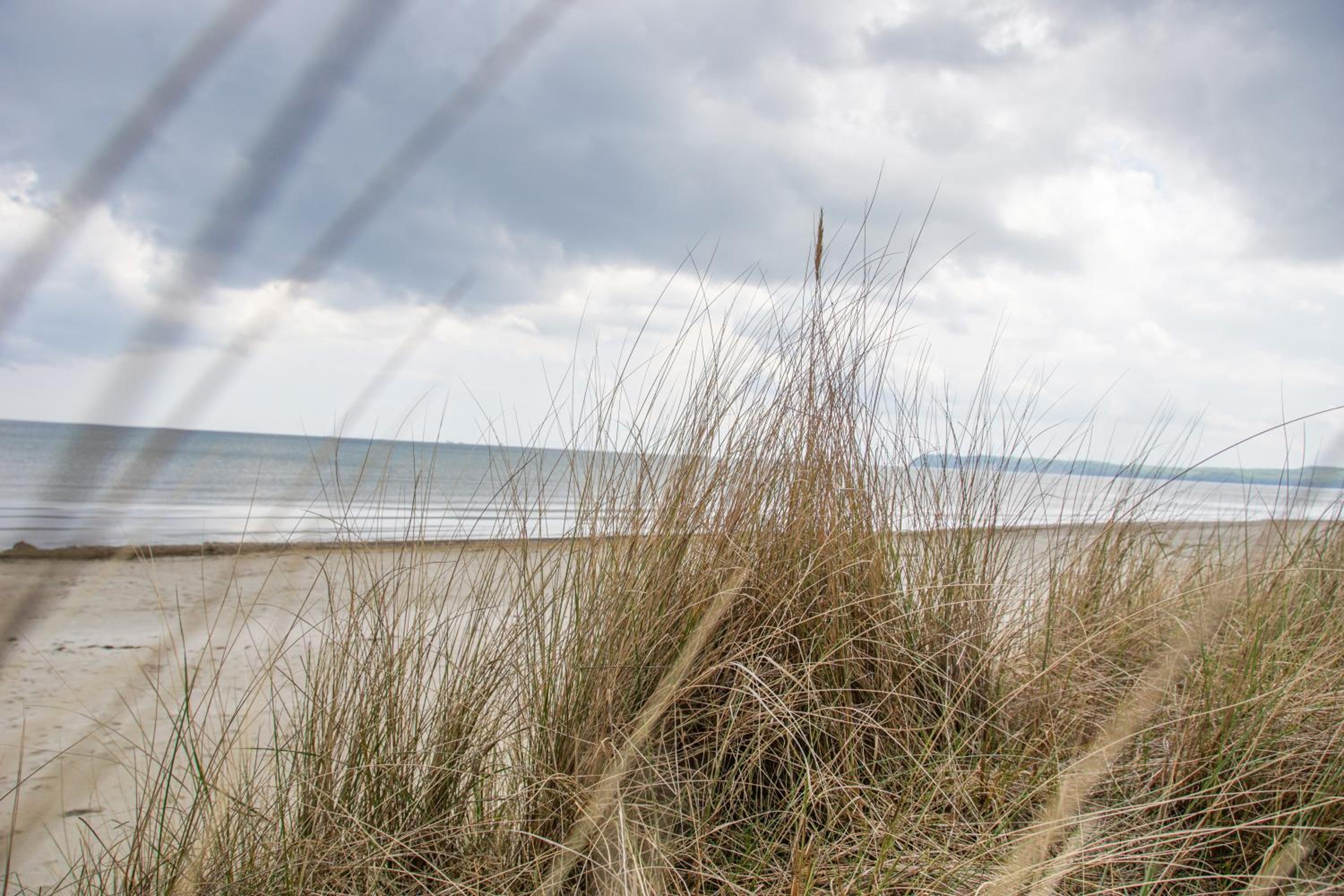Prora - Modernes Apartment mit Balkon und Strandkorb am Strand - MeerSonneWind