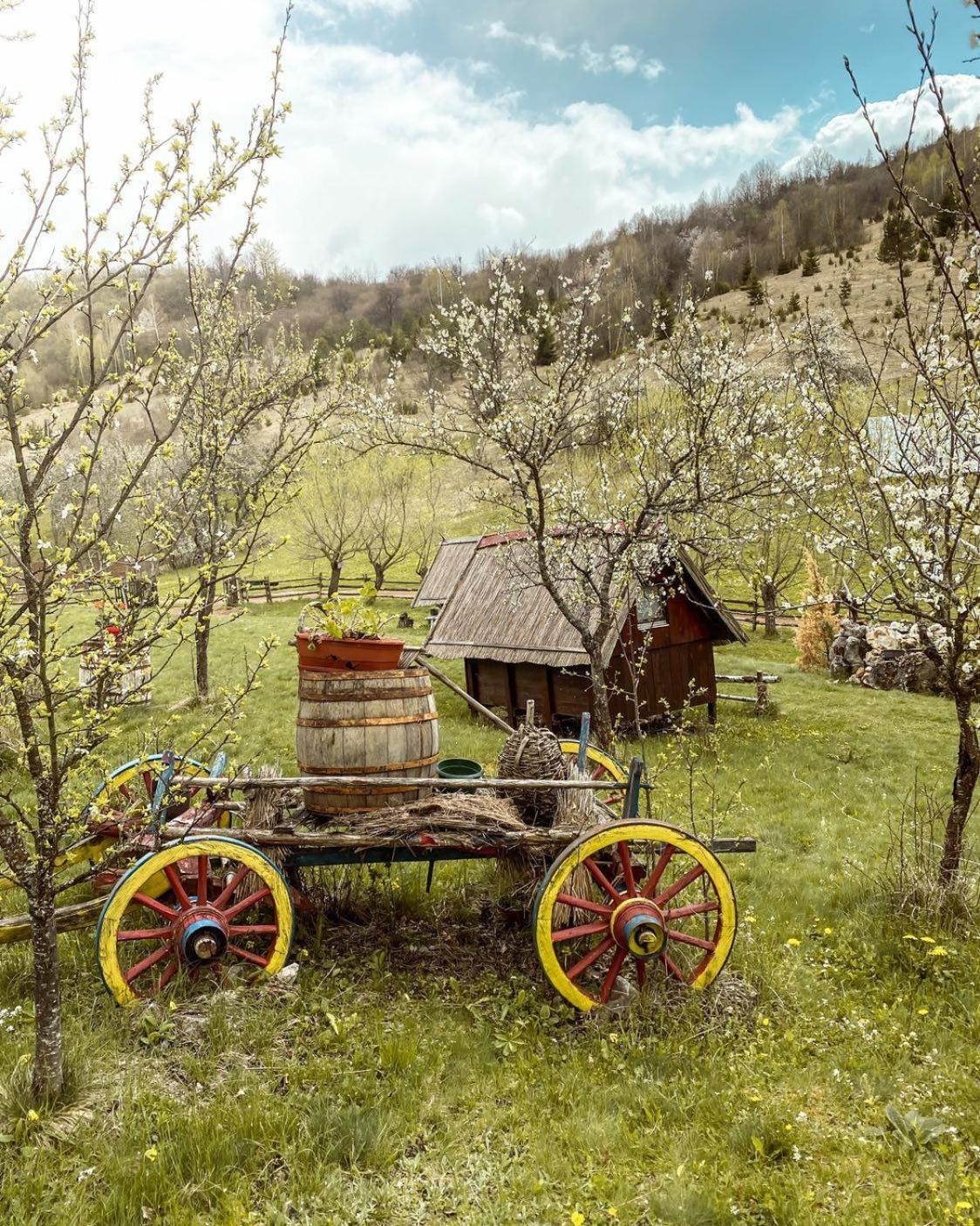 Log cabin Uvac (Vikendica Saponjic)