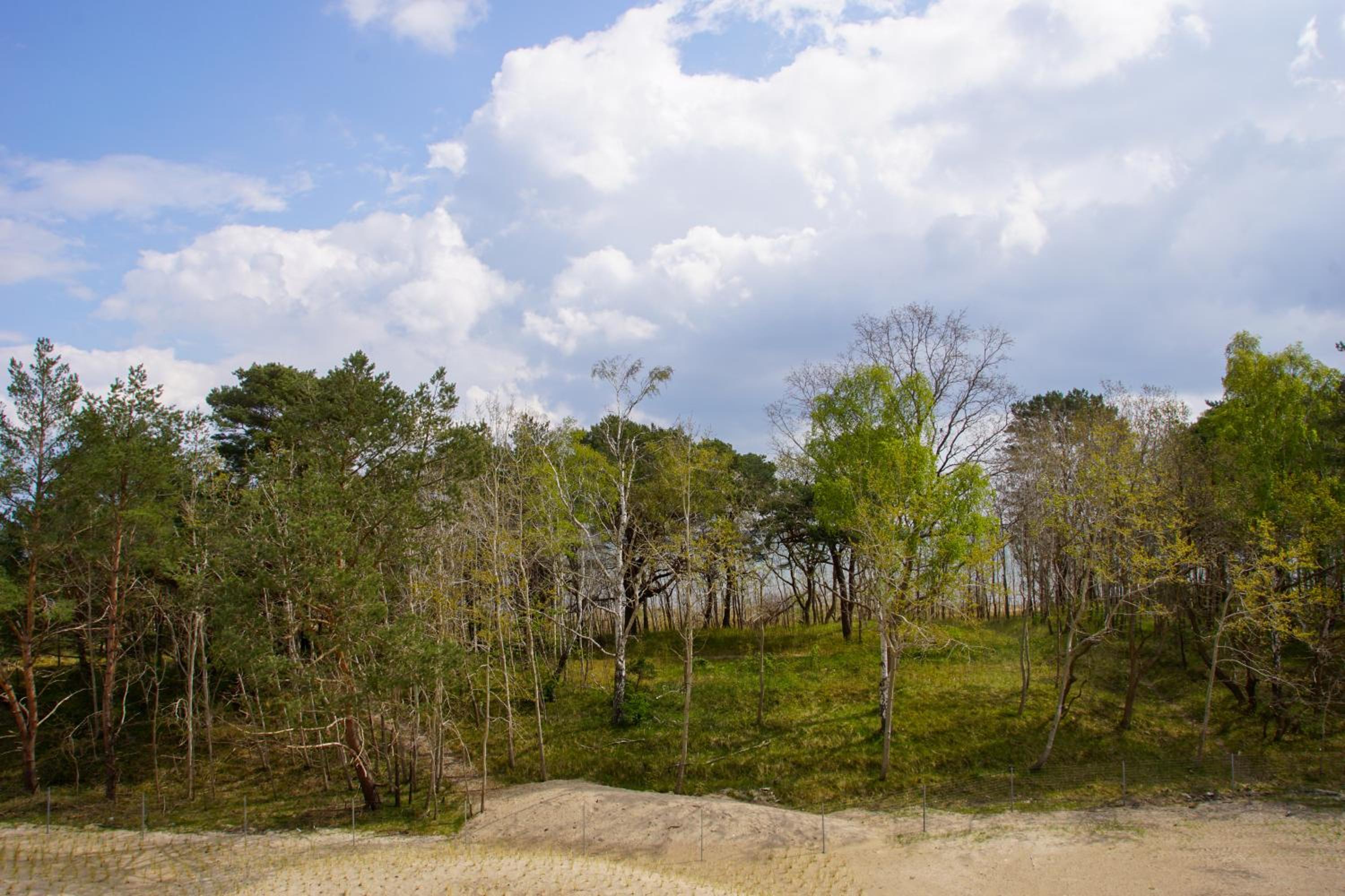 Prora - Modernes Apartment mit Balkon und Strandkorb am Strand - MeerSonneWind
