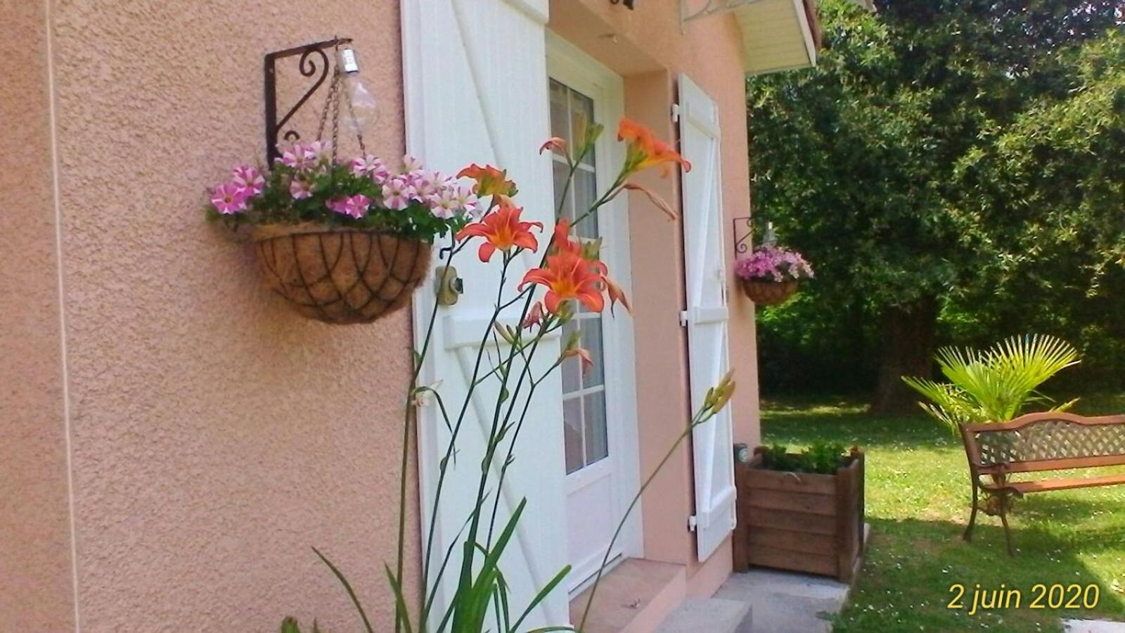 Photo 7