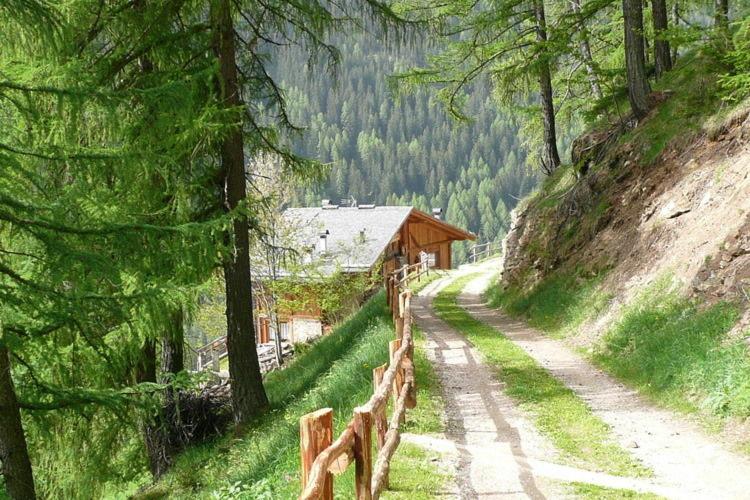 Chalet Mas del Toni