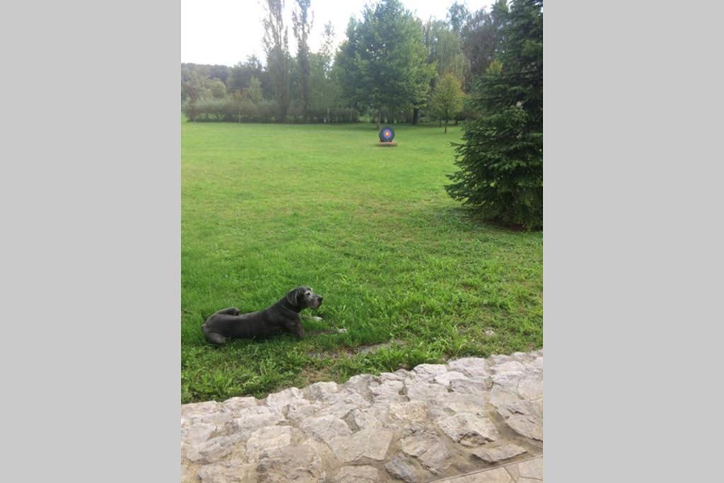 Photo 26