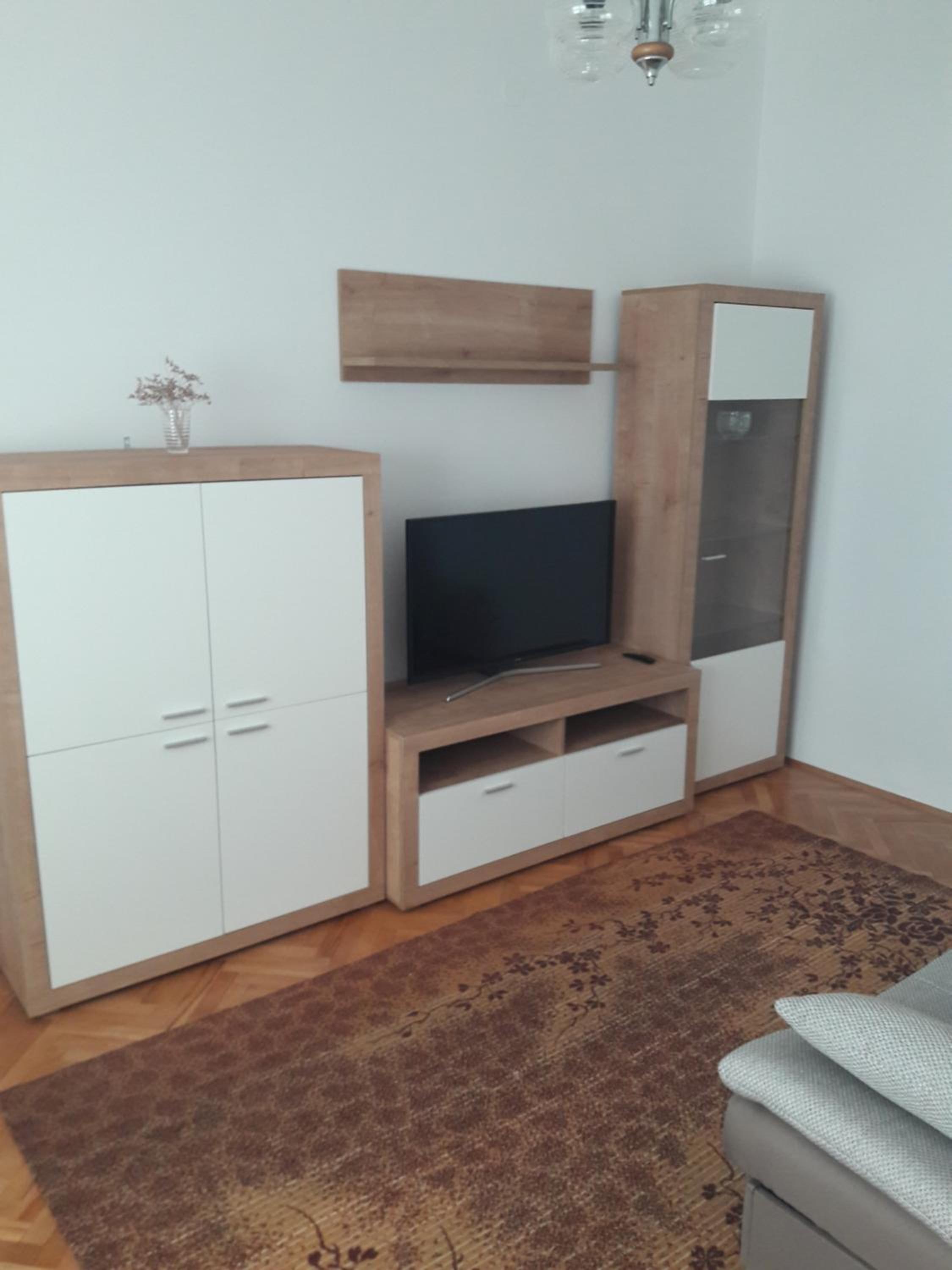Apartment Bise view 4