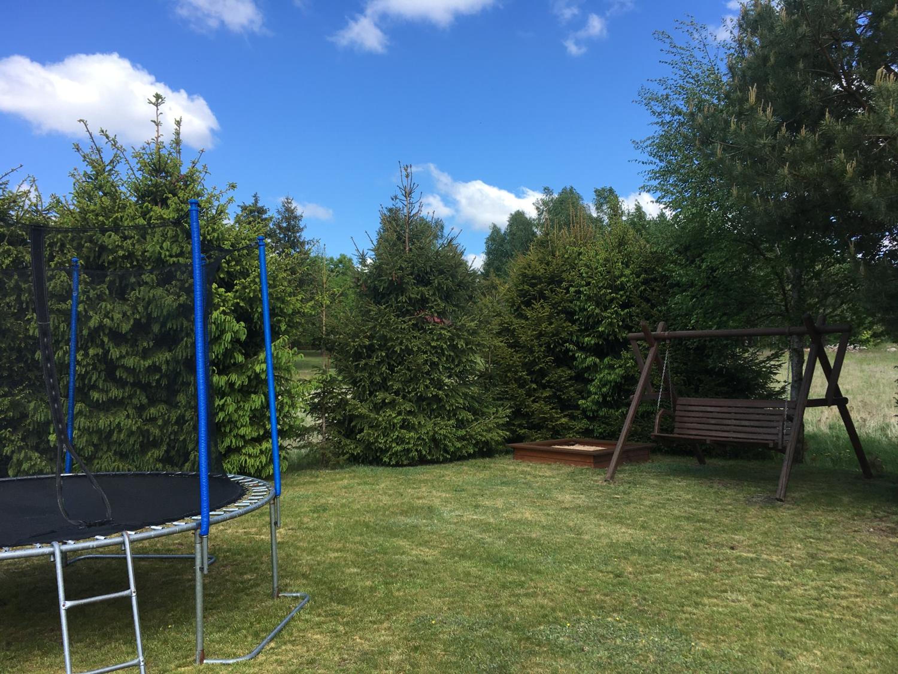 Photo 7