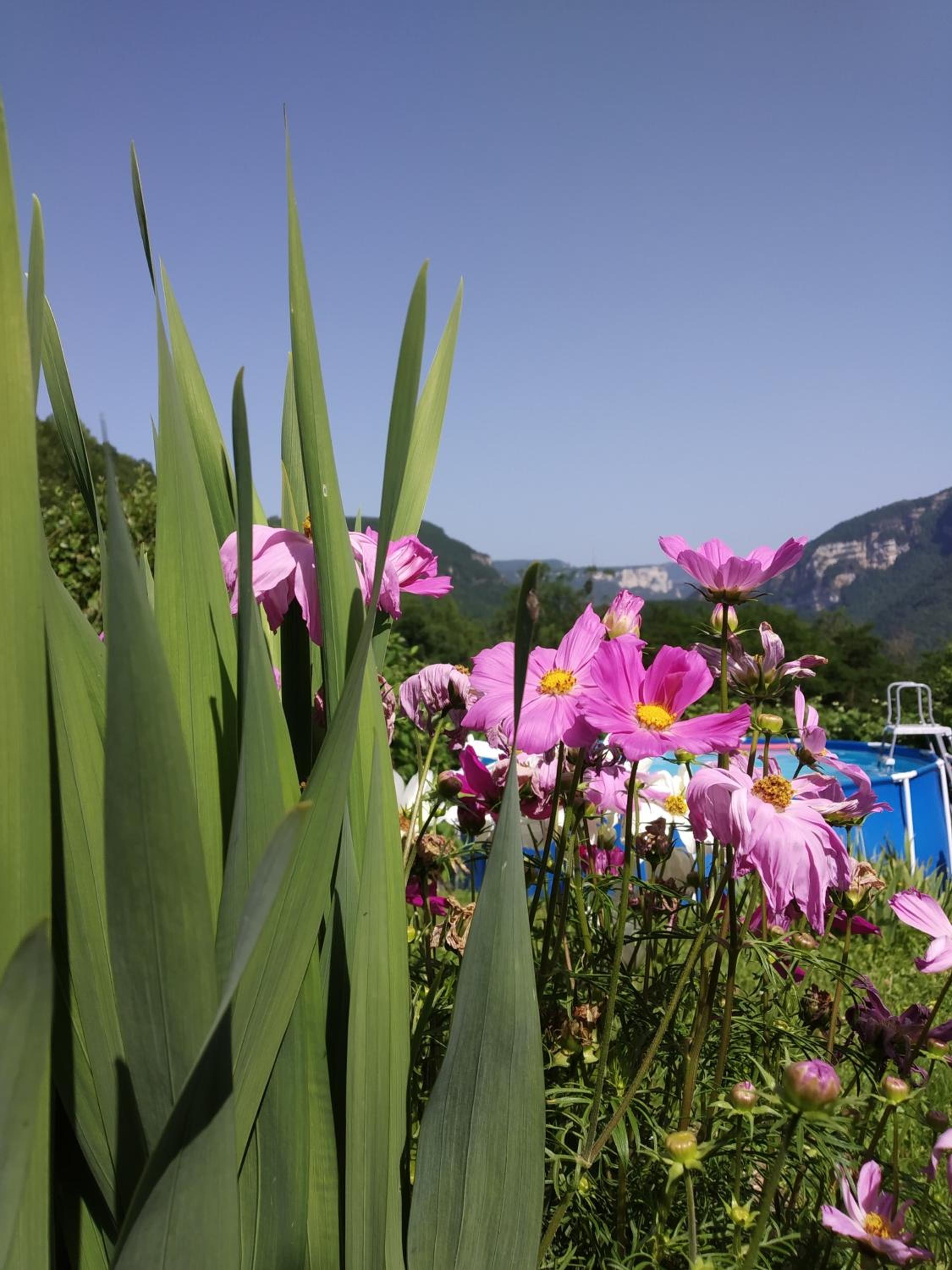Au chalet d'Anna