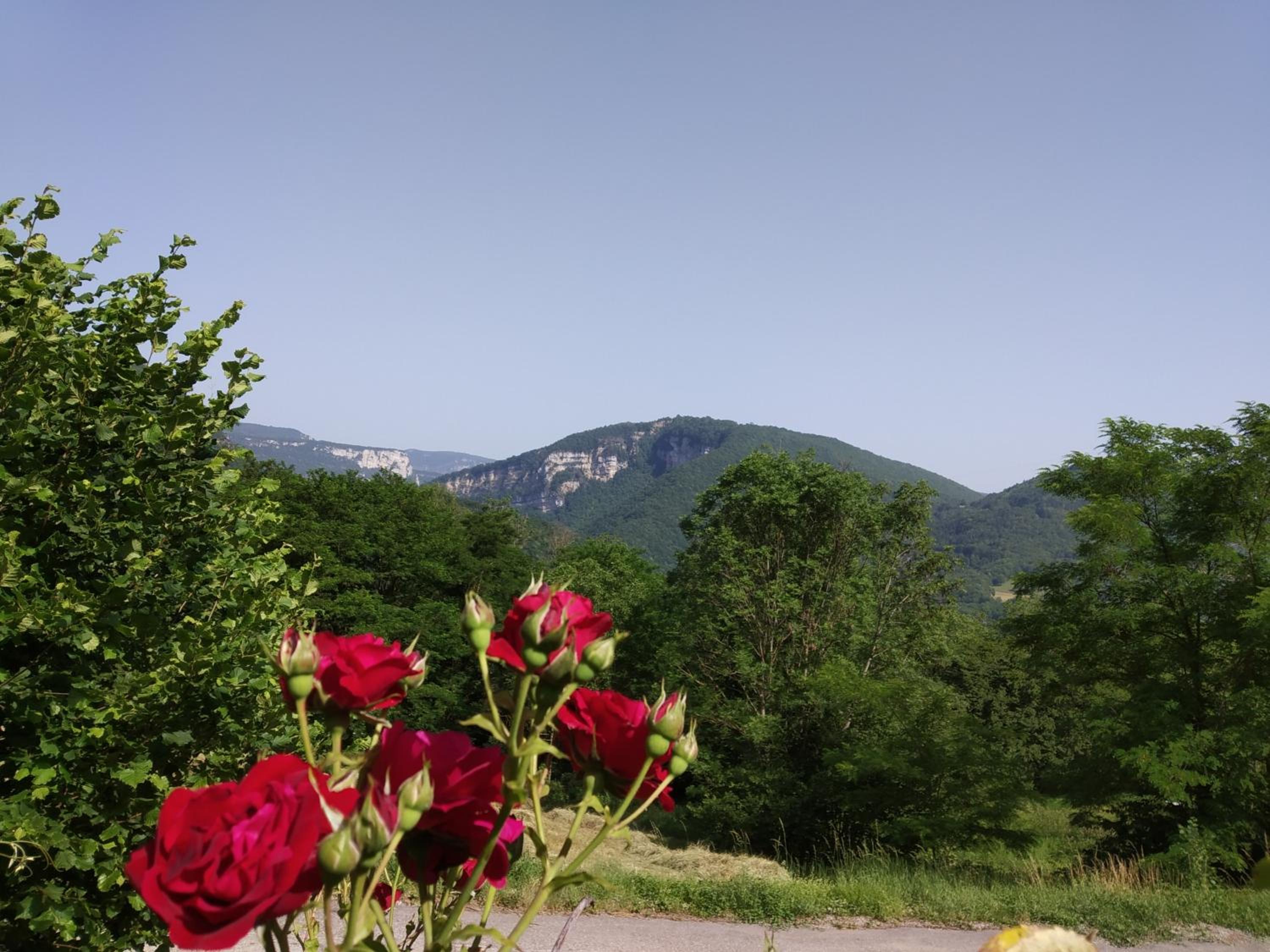 Au chalet d'Anna