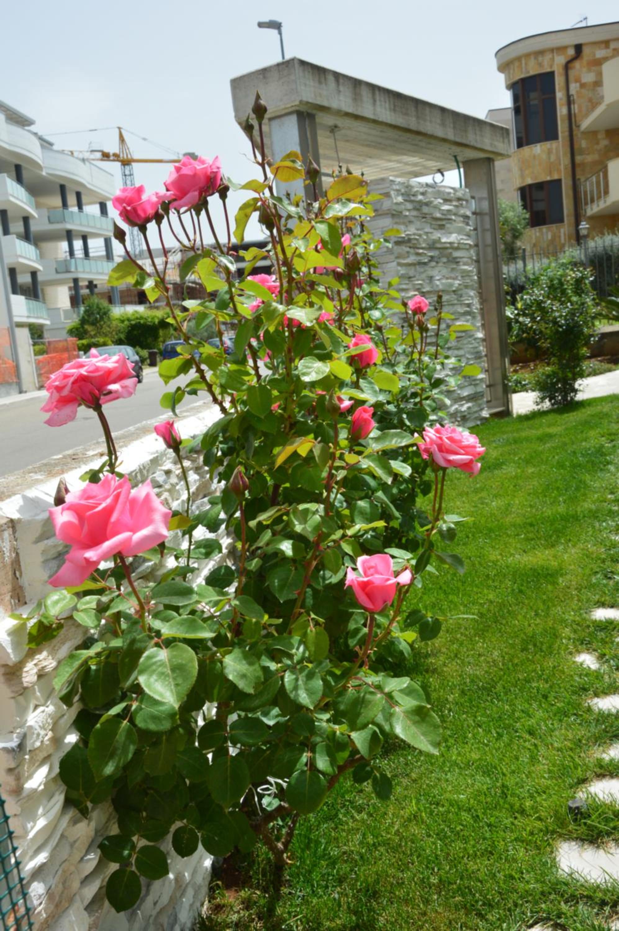 Photo 9