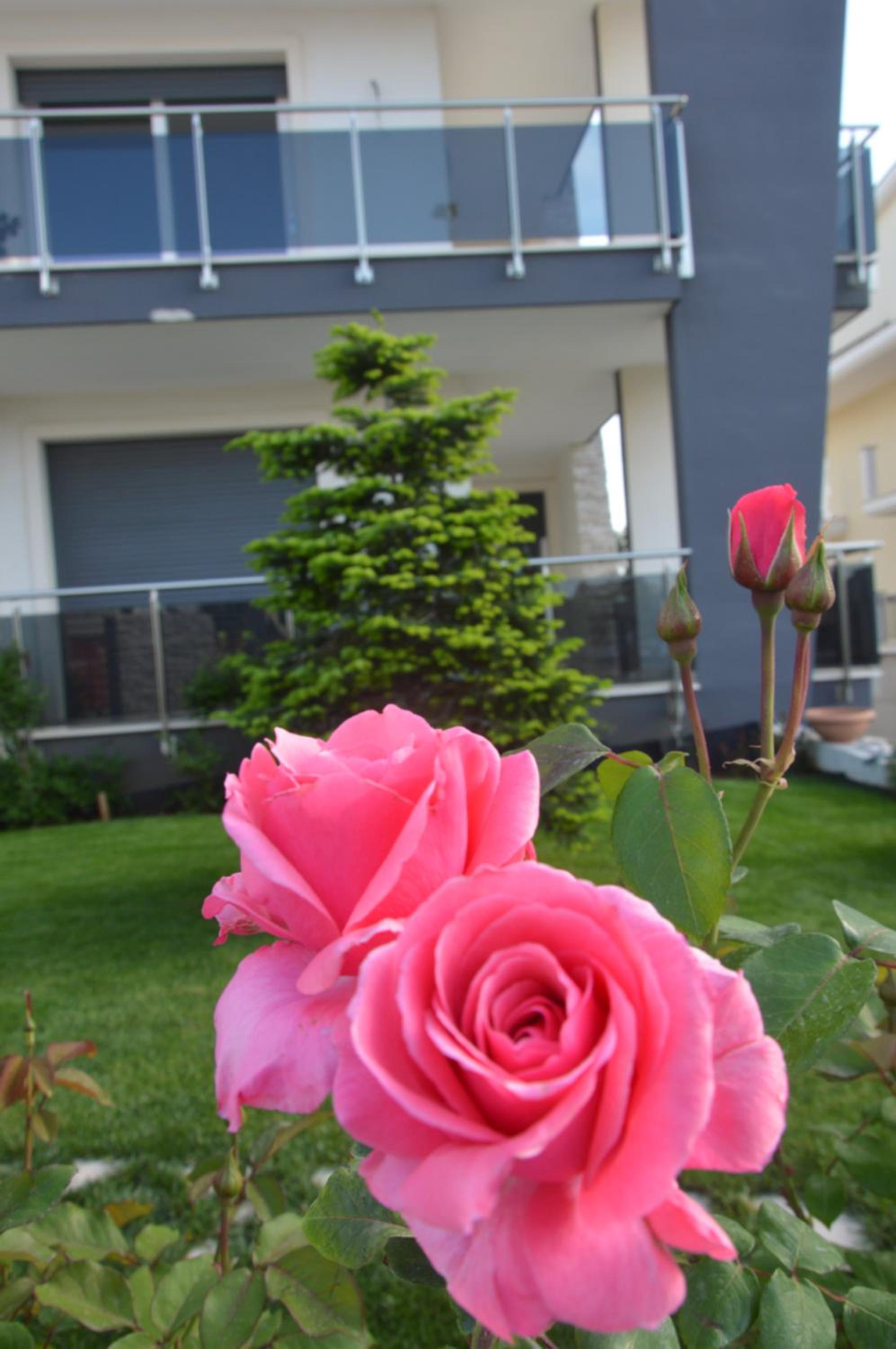 B&B La Rosa dei Venti view 4