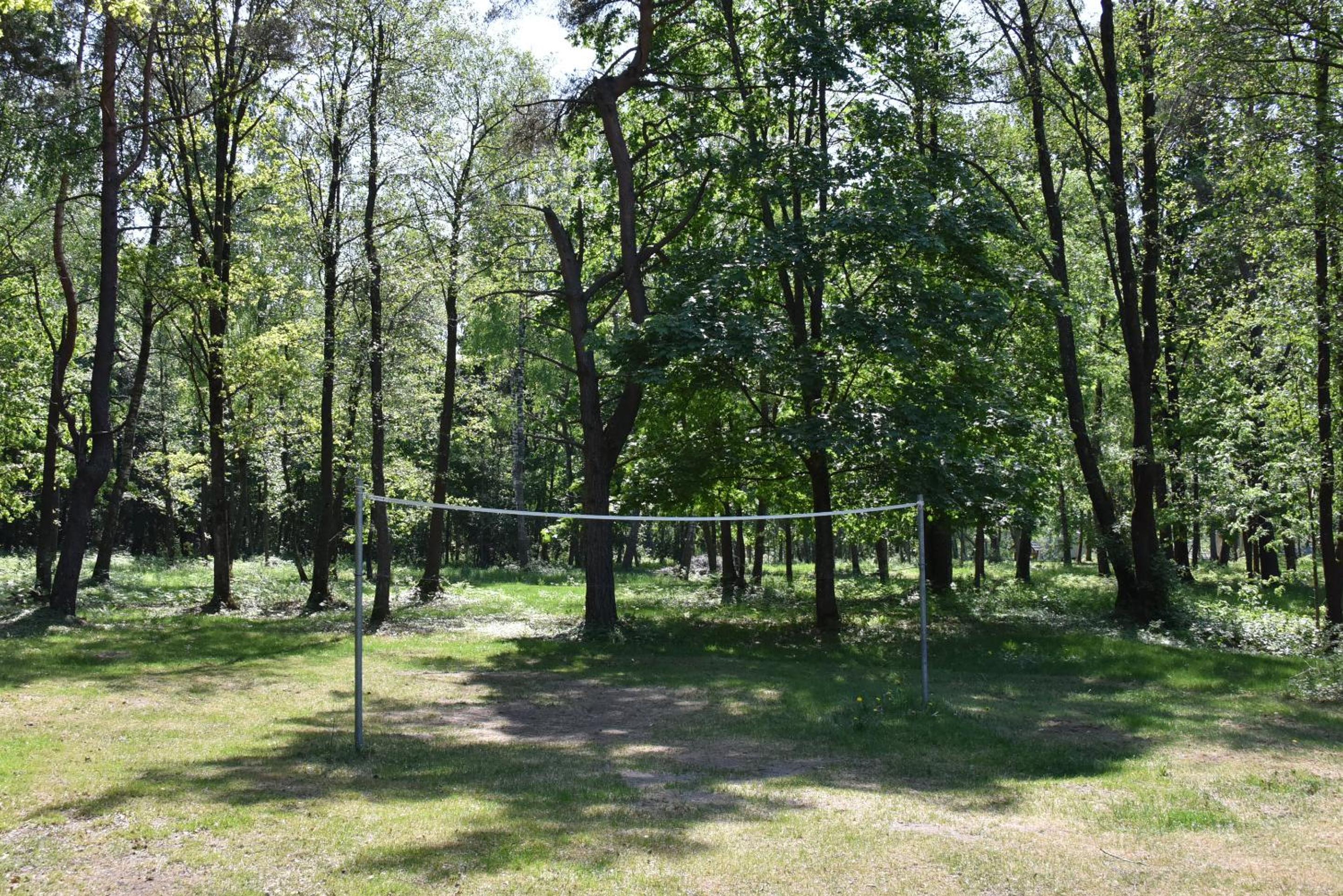 Photo 43