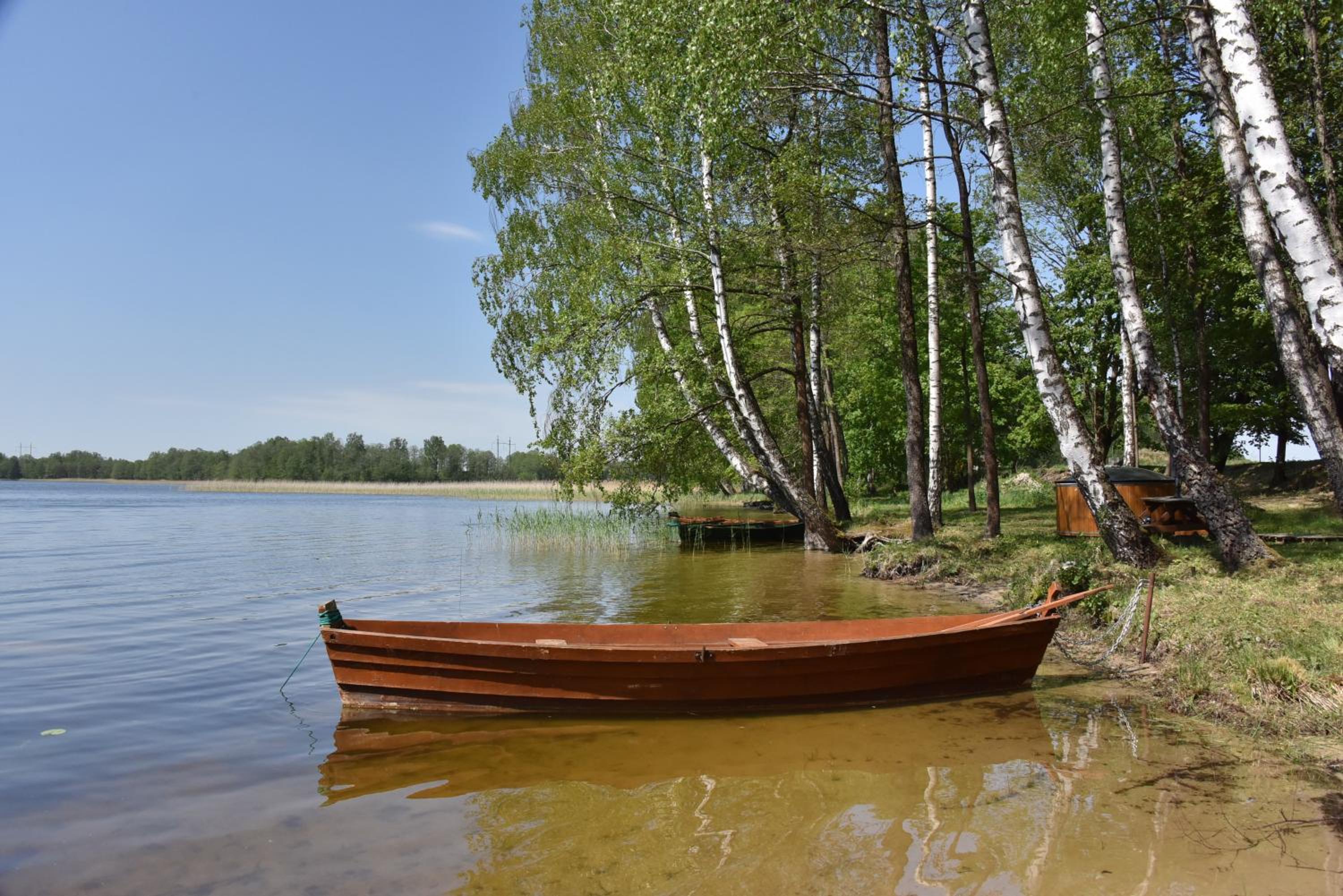 Photo 48