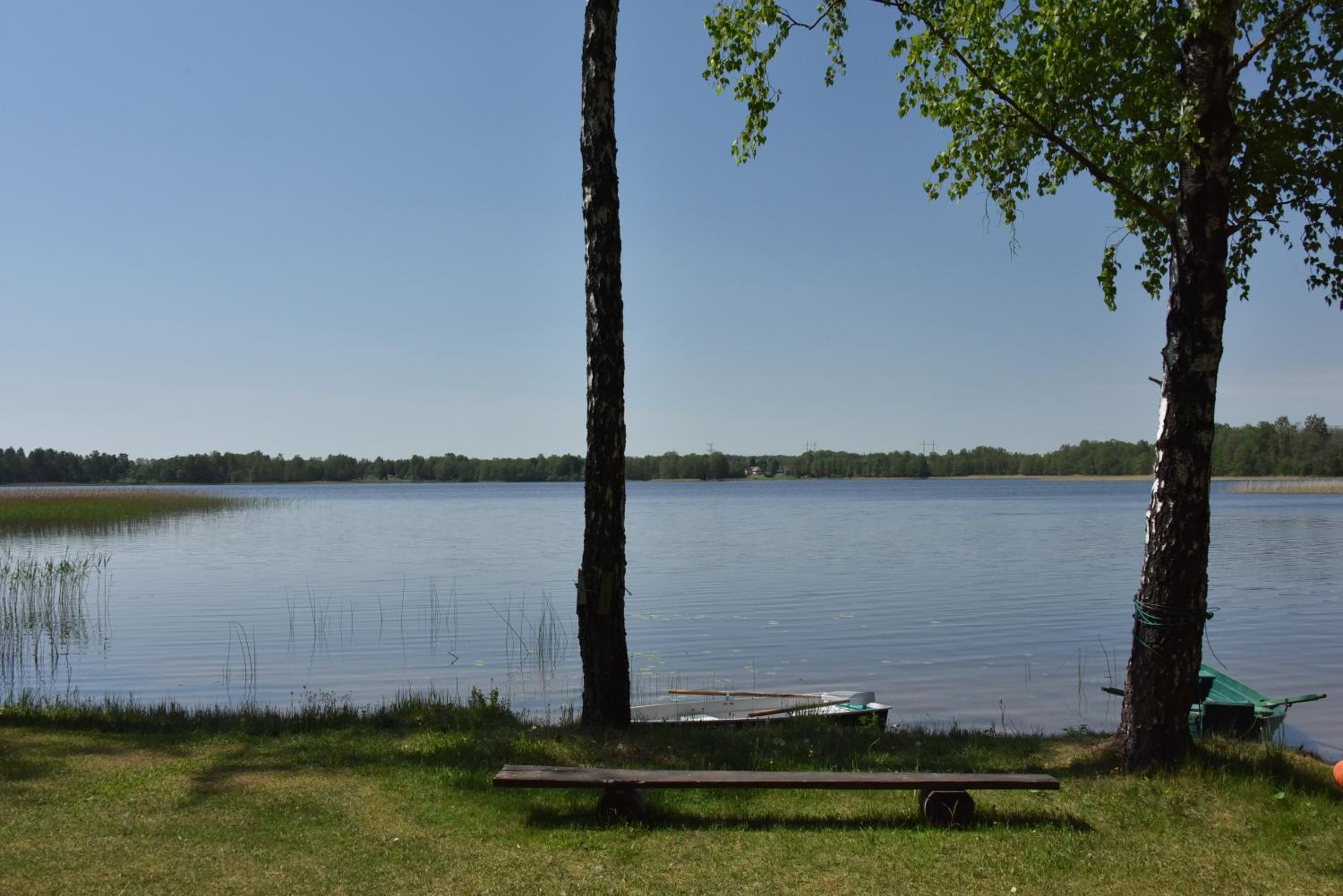 Photo 29