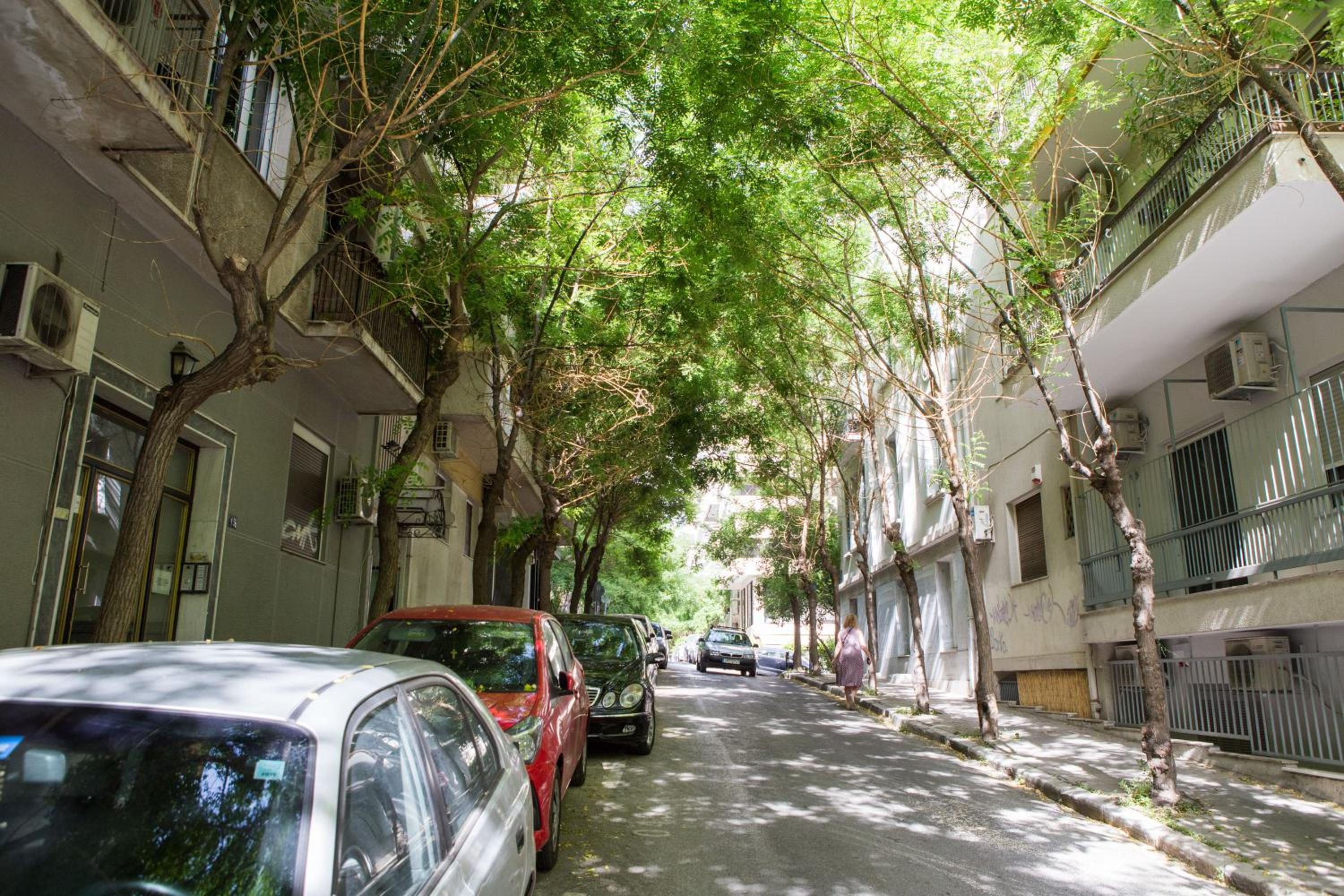 Stylish, comfortable, basement loft-like apartment with amenities